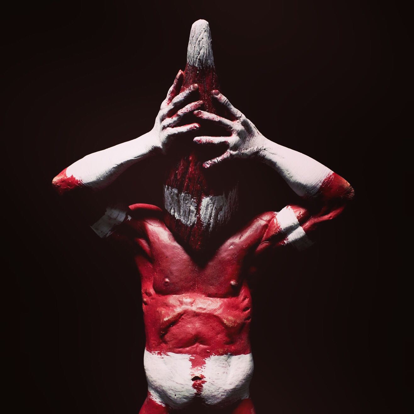 ROBERTO SALINAS SALFATE