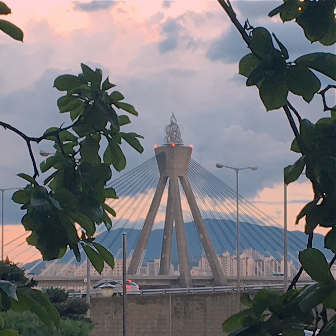 2017년 8월 12일 토요일동서울 터미널 (Republic of Korea)