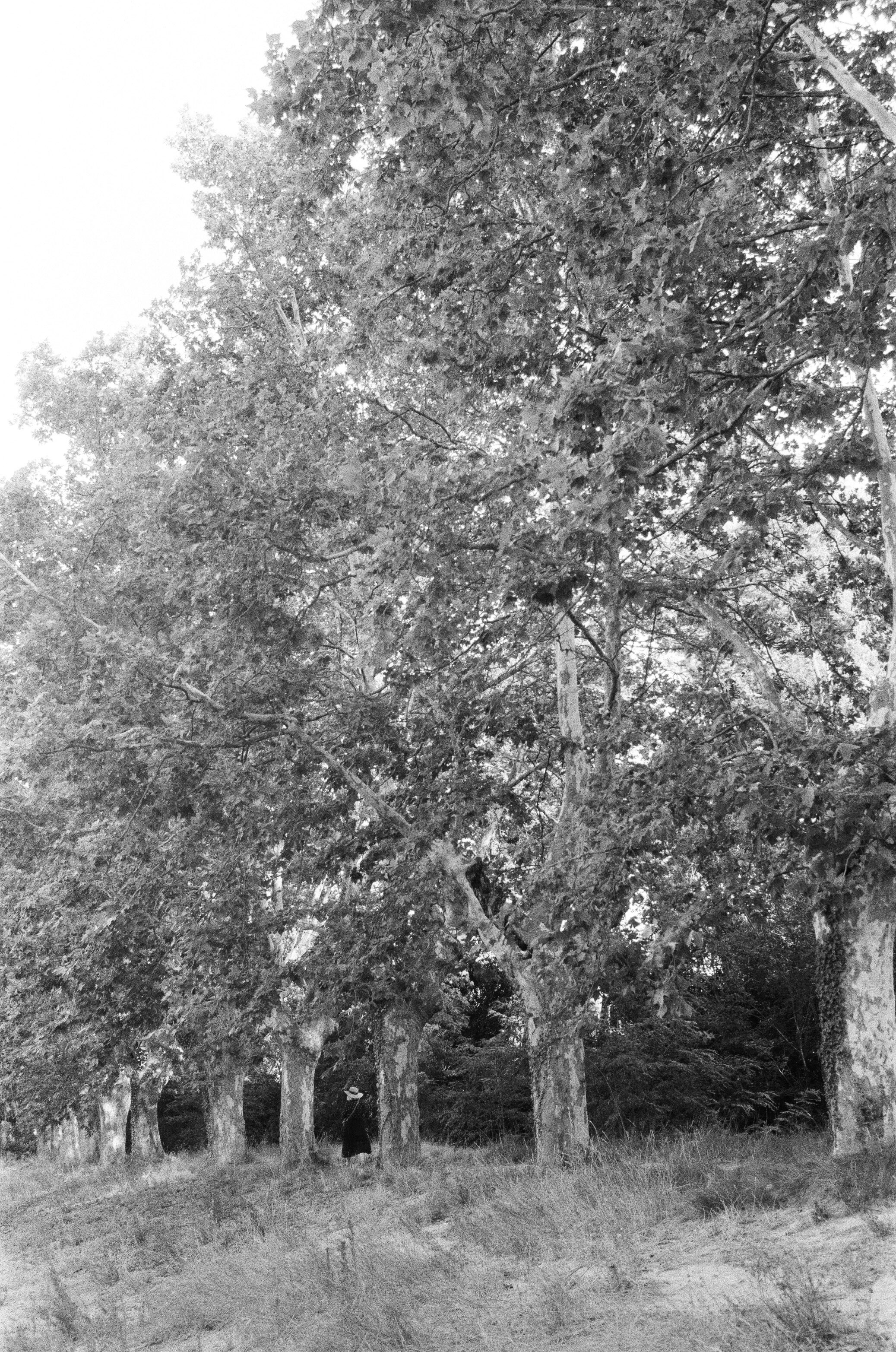 Arles, France, 2023.