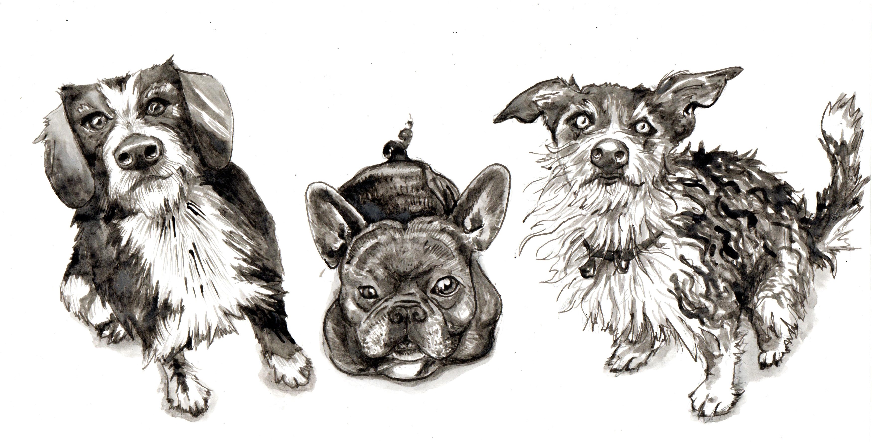 Milo, Zeus and Ina, 2024, pencil and ink. Portraits for Sarah-May's logo