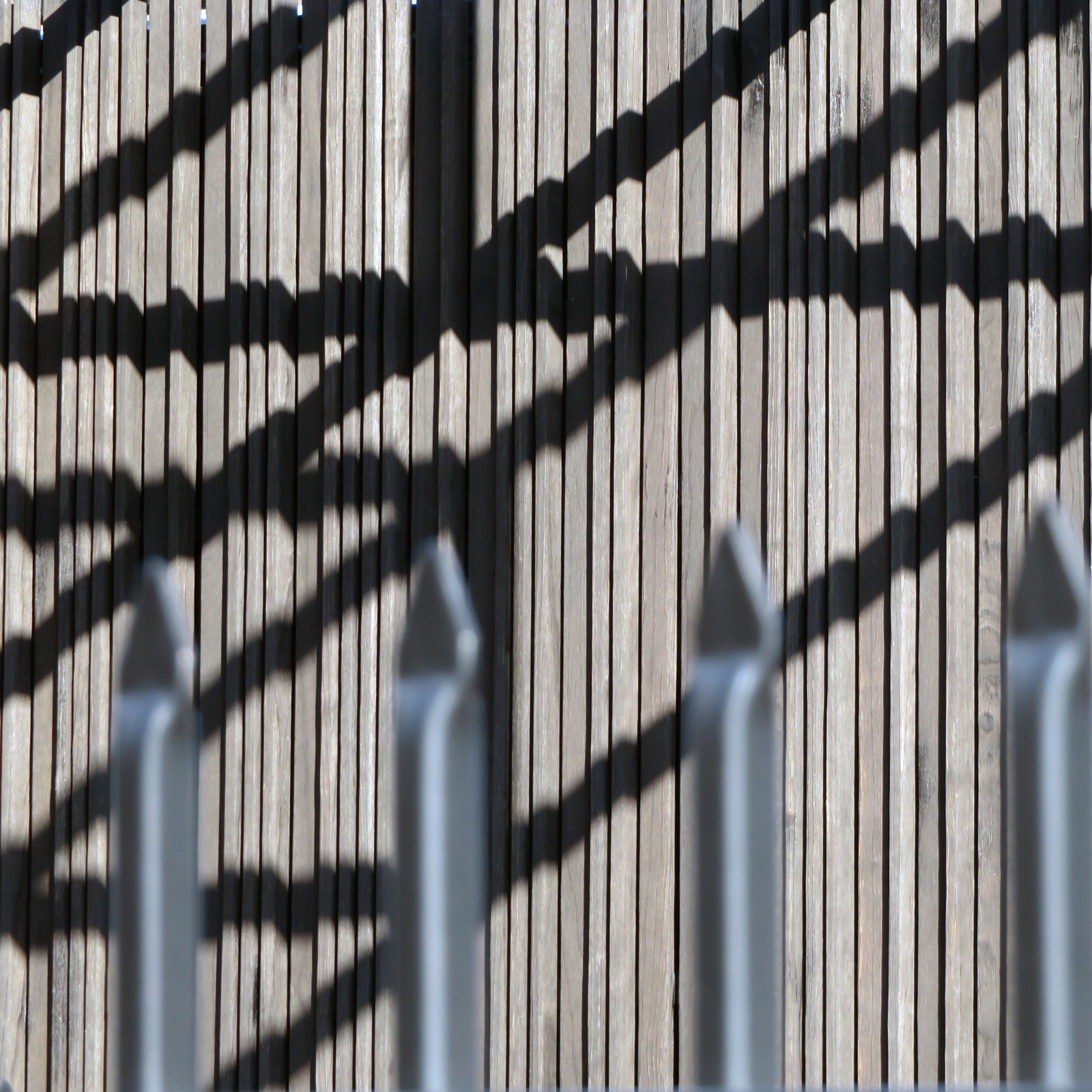 Distorted / March 6, 2020 / Photo: Ira Tattelman @tattelman