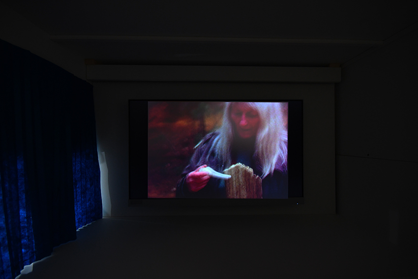 Wake for a Horse (partie I), 2023, film, duration: 8 minutes, Super 8 color 4:3, original soundtrack by Kali Malone,