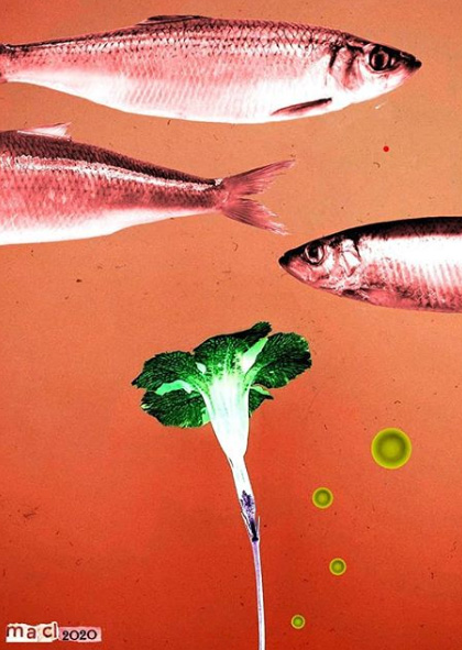 Maria Anna Ciemerych