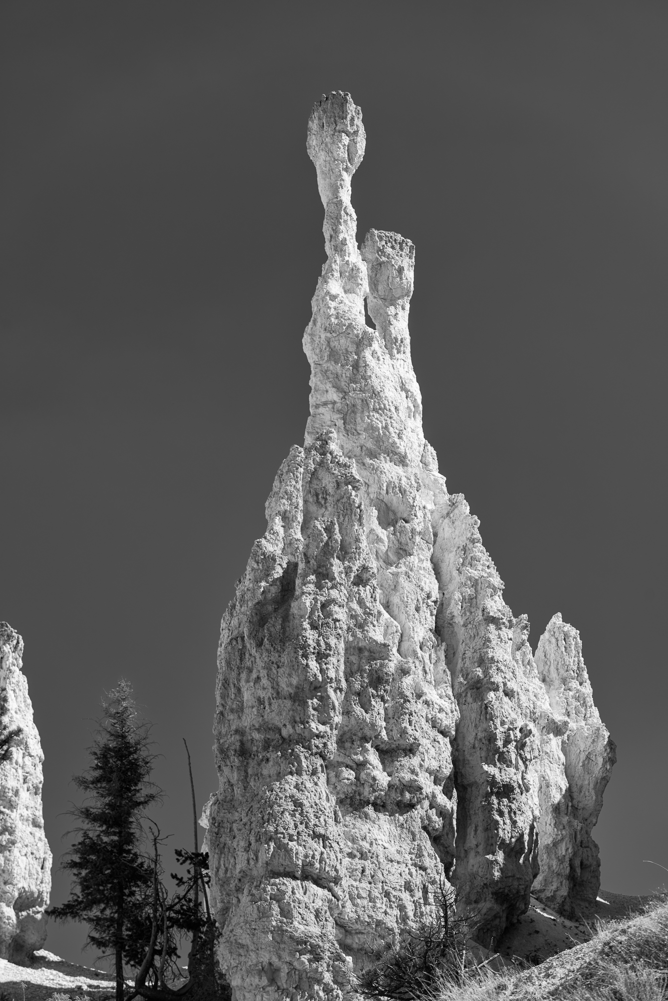 Bryce Canyon National Park (nom d'un charpentier mormon) situé dans le Sud de l'Utah avec ses hoodoos (cheminées de fée).