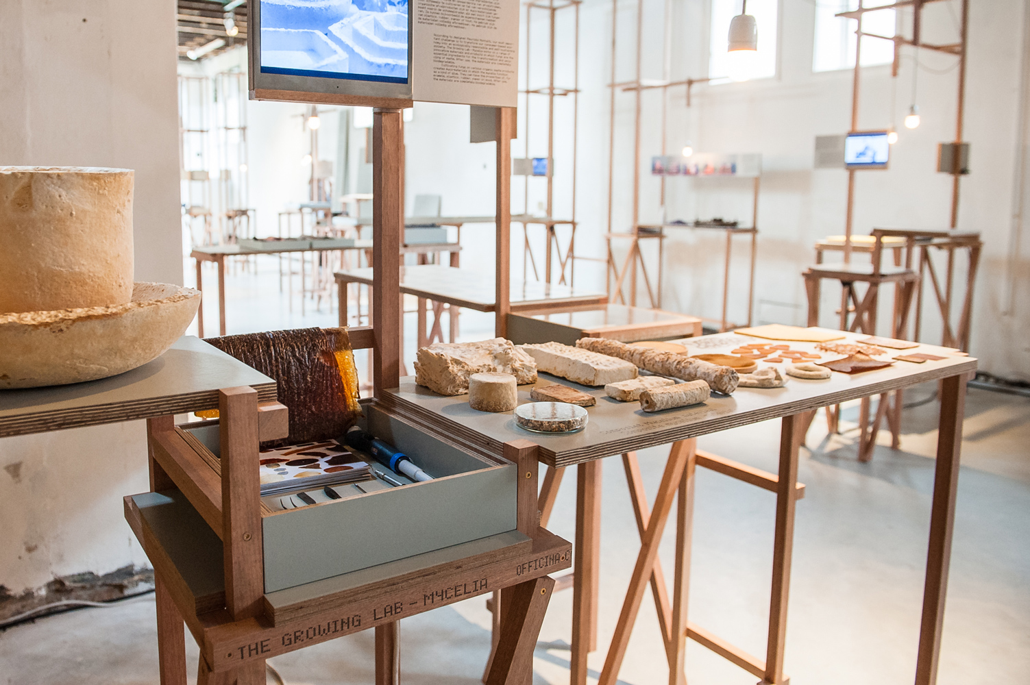 photo by William van der Voort