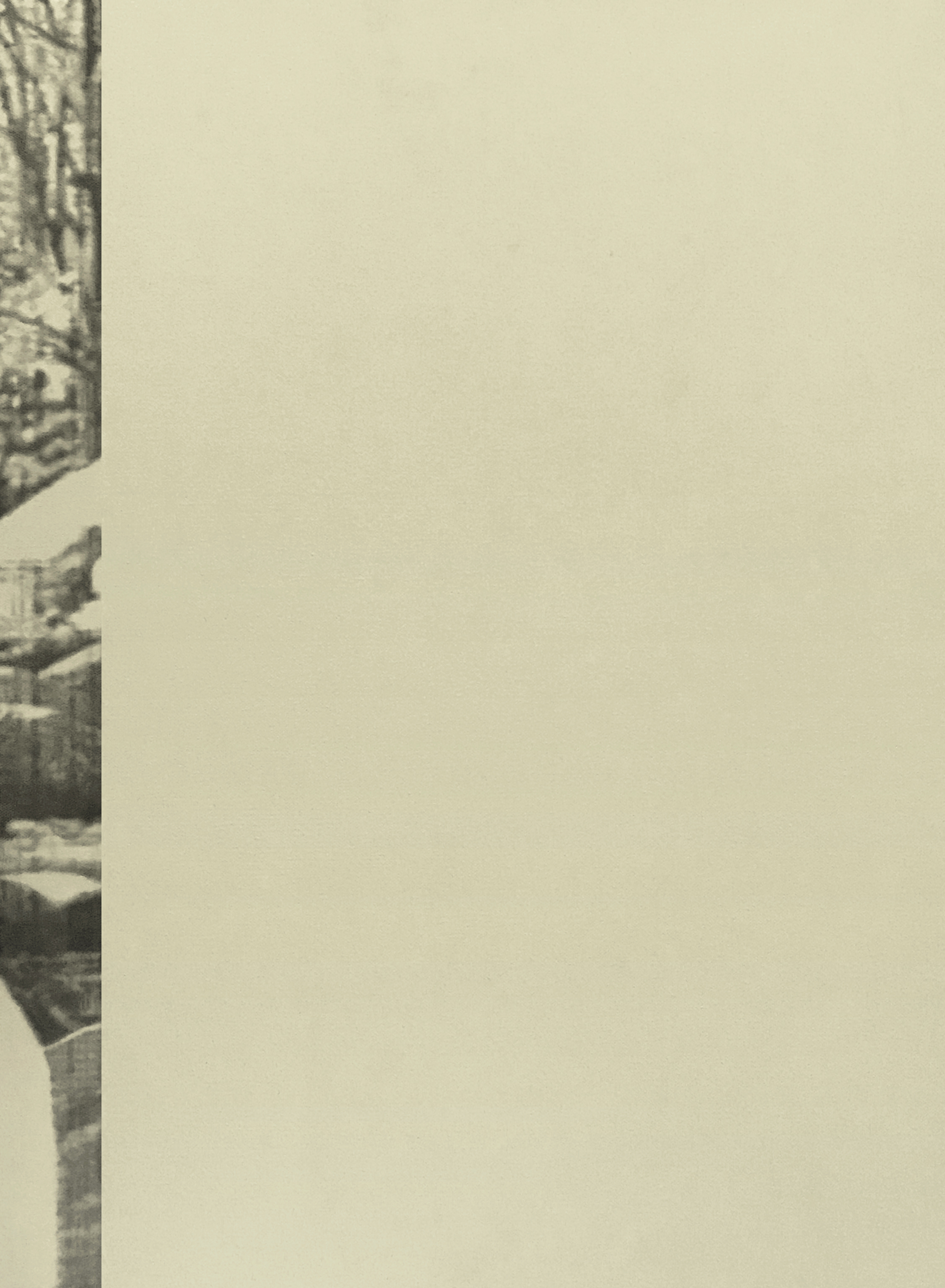 Konica_feeder skips, charcoal and oil on canvas, 44.5 x 61 cm, 2019