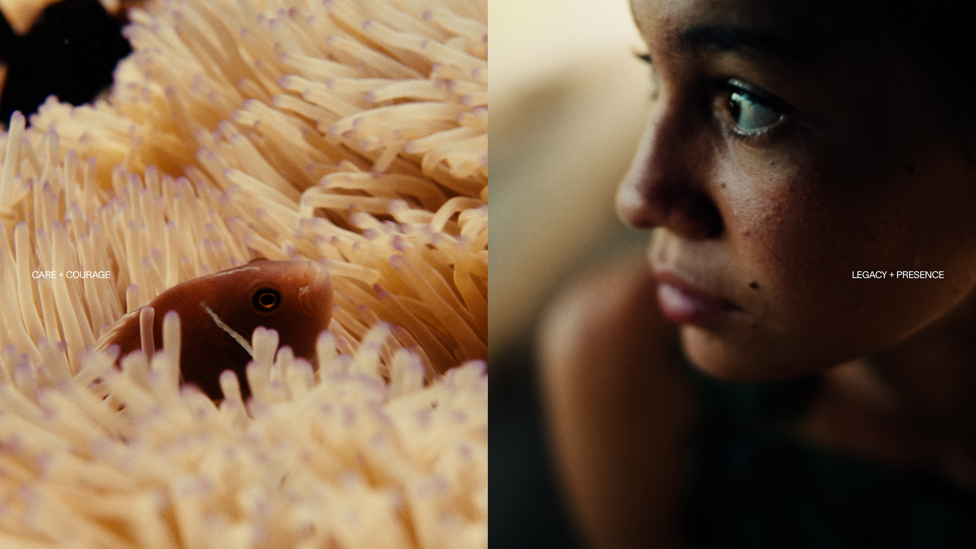 THE NAT – Redefining Heroes