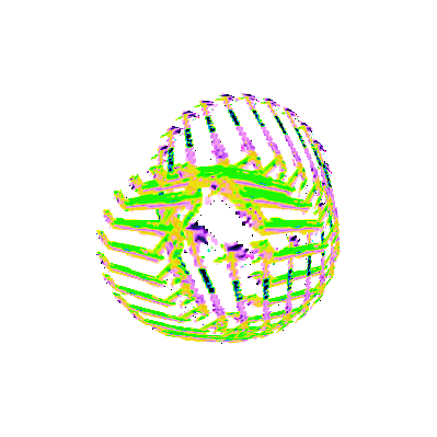 rewiring a flightless bird