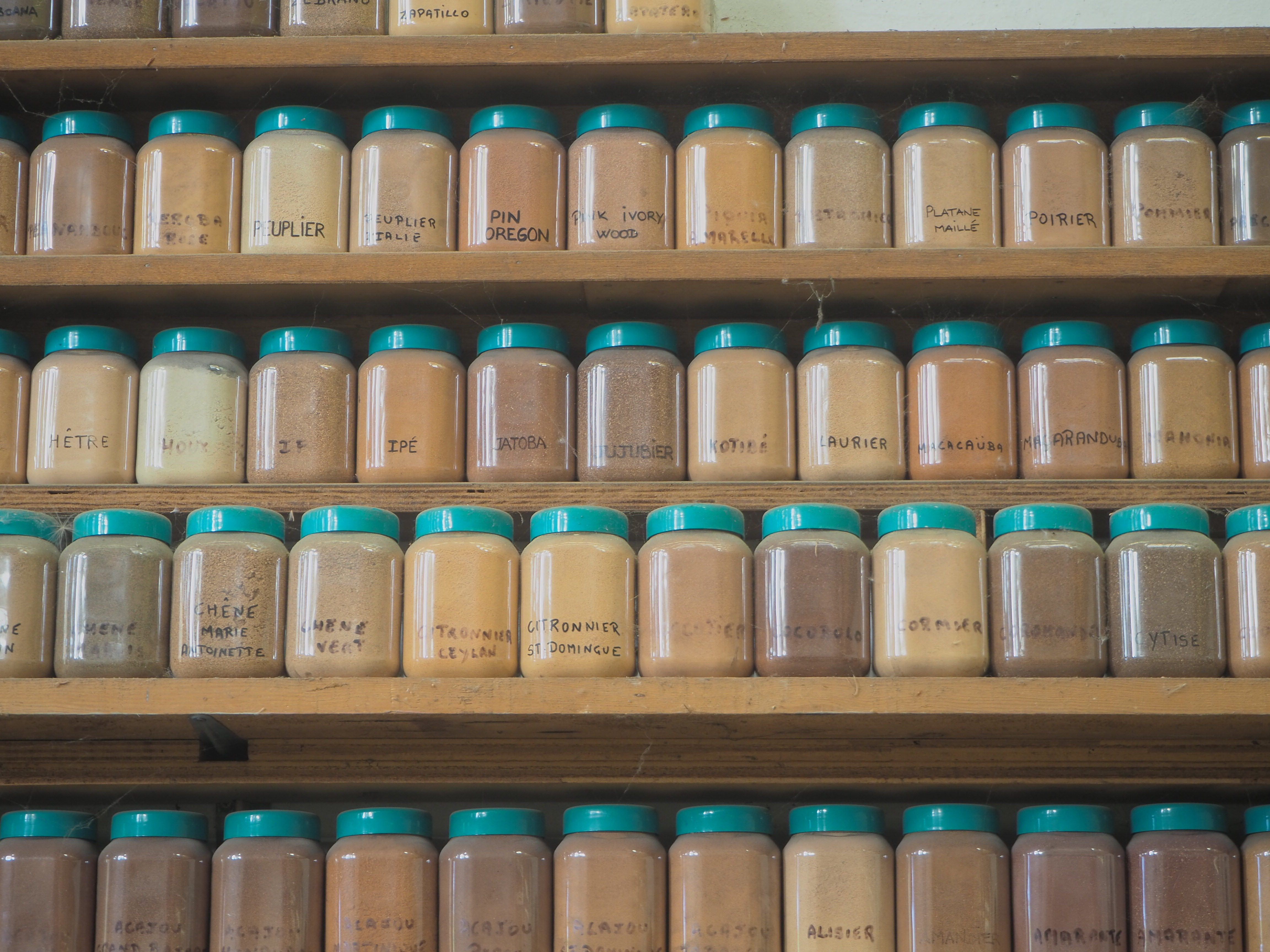 Au mur, une collection de sciures de la plupart des essences de bois jamais passés dans la scierie