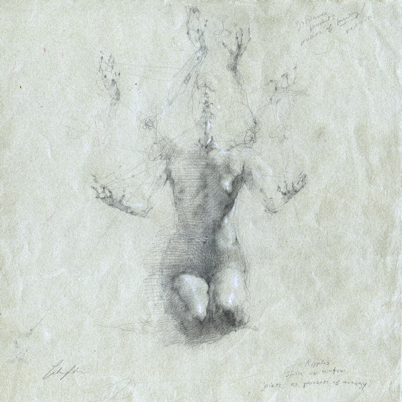 The Magician, 8.5x8.5’’, Graphite and white chalk, 2024