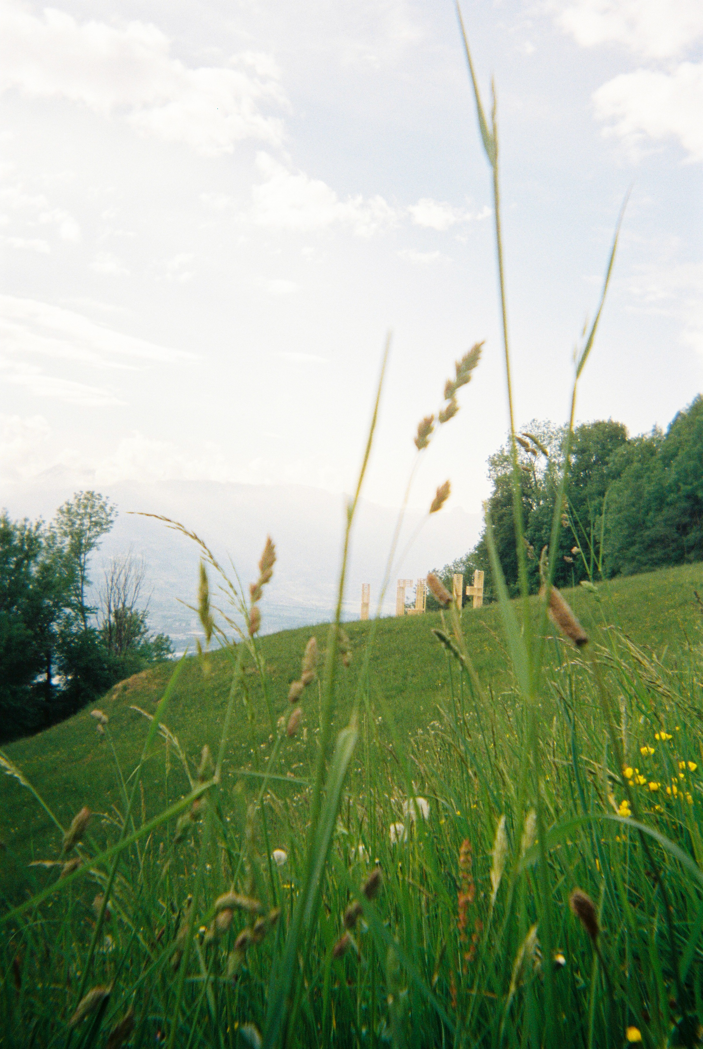 Photographs taken while walking on THE LINE in Liechtenstein by Studio Venice