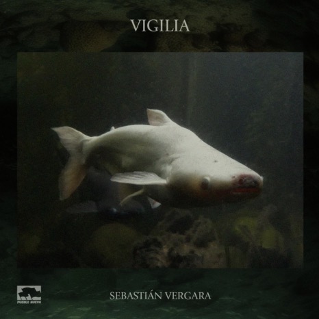 SEBASTI&Aacute;N VERGARA | VIGILIA | N&ordm;14