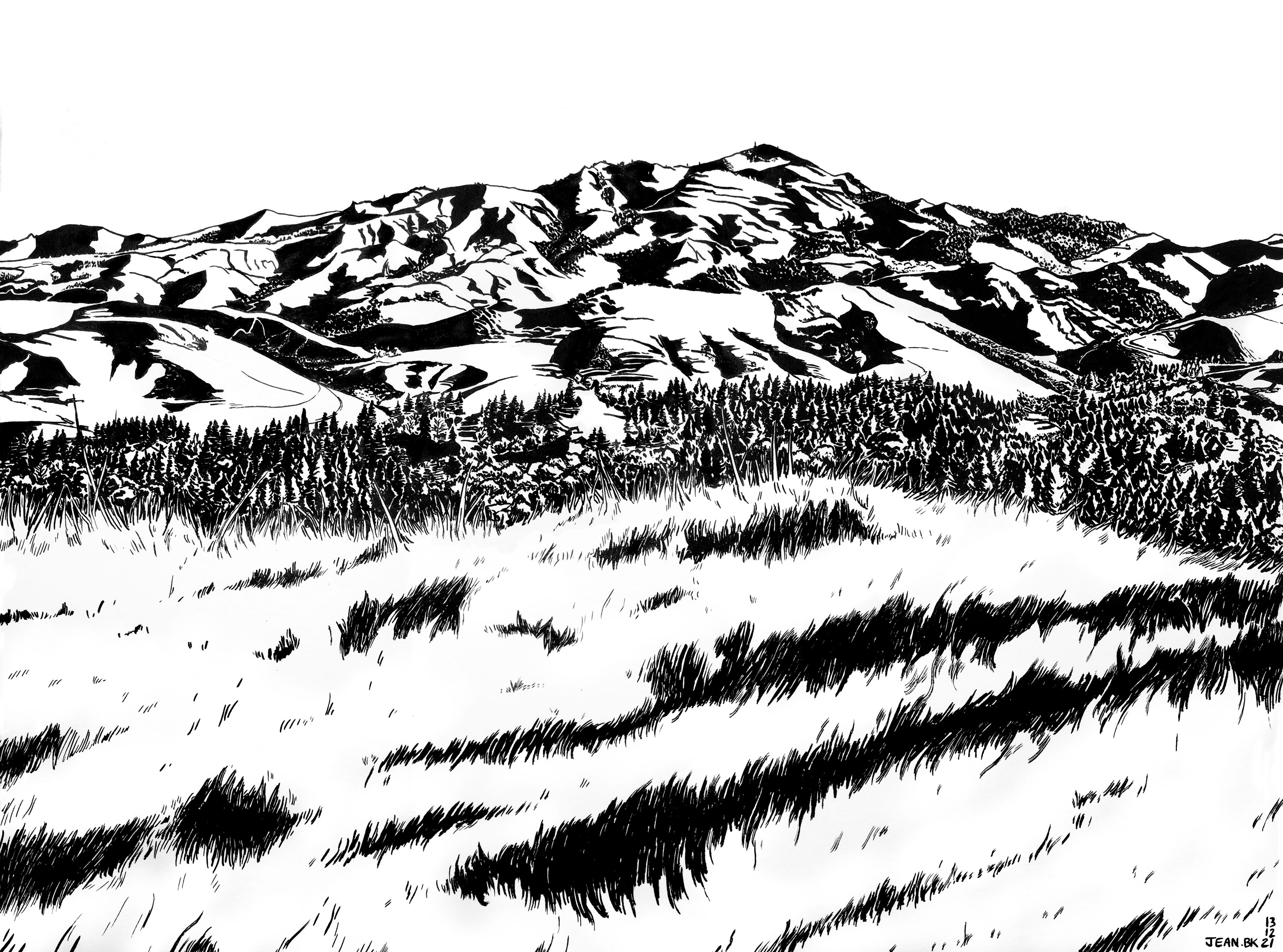 Diablo - Ink on paper 60x50 cm