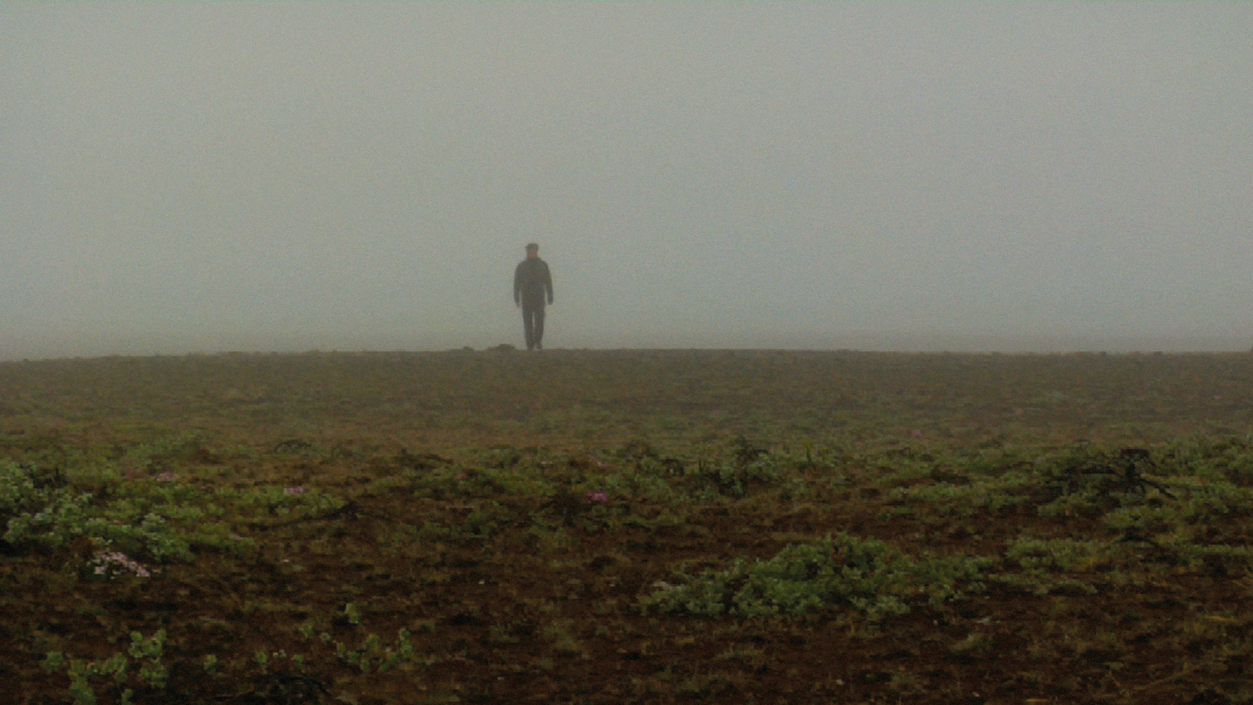 Recurrence Relation 1, 2008. Duration: 5:06 minutes. (still frame)