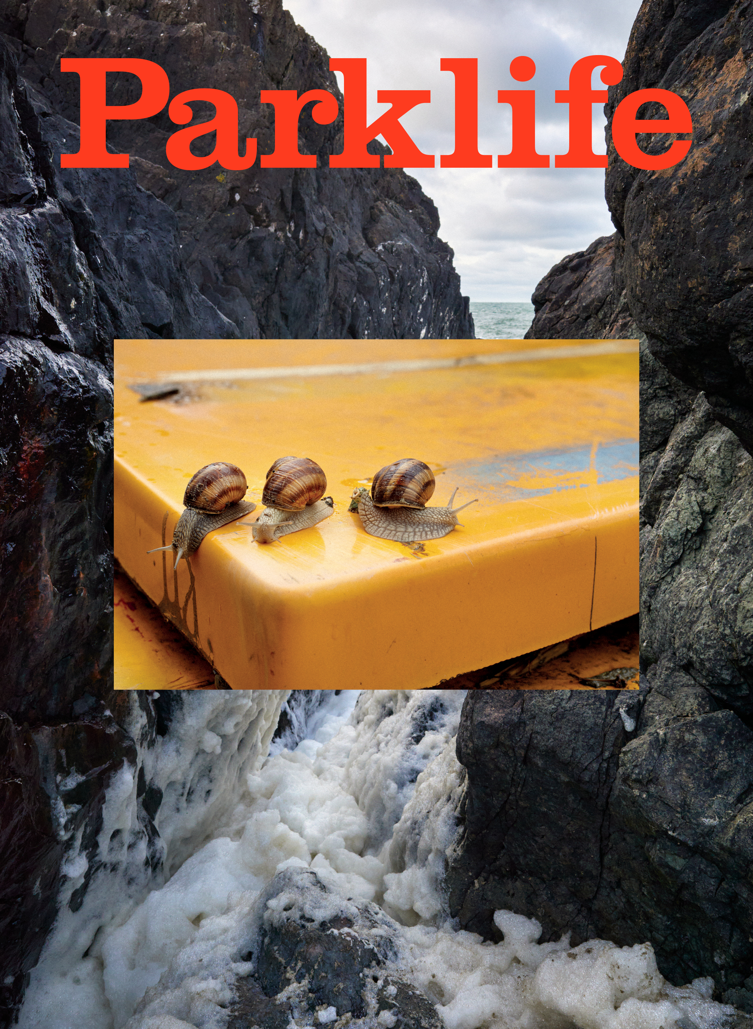 Front Cover: Marton Perlaki, ”Every Word is a Song, Every Step is a Dance"