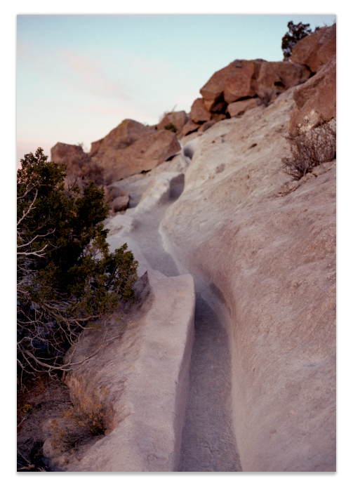 limited edition pigment print