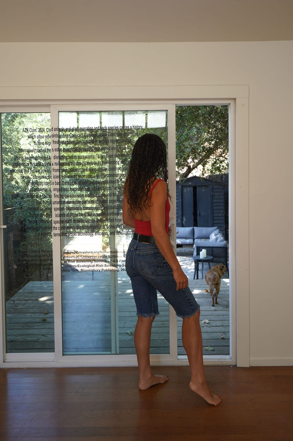 Amy Yao, AZN Clam. 2024