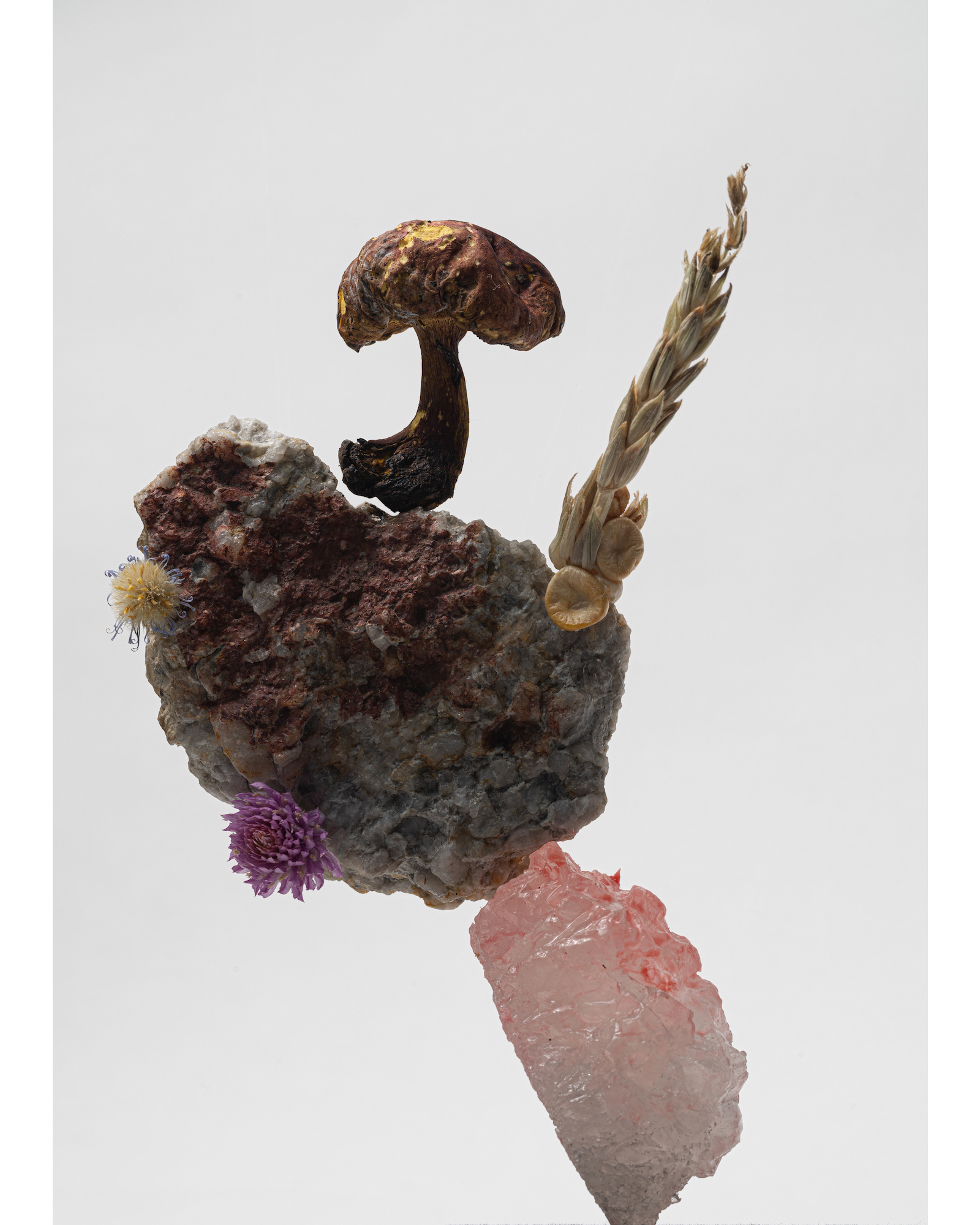 Search For Acceptance