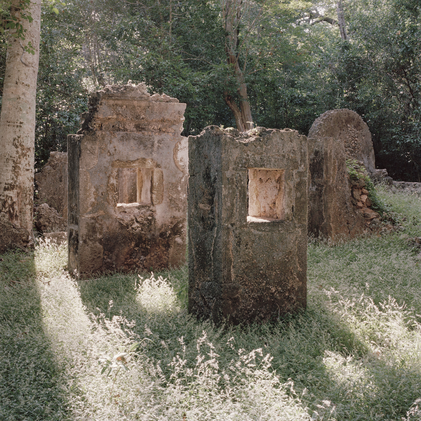 Gede Ruins I, 2019
