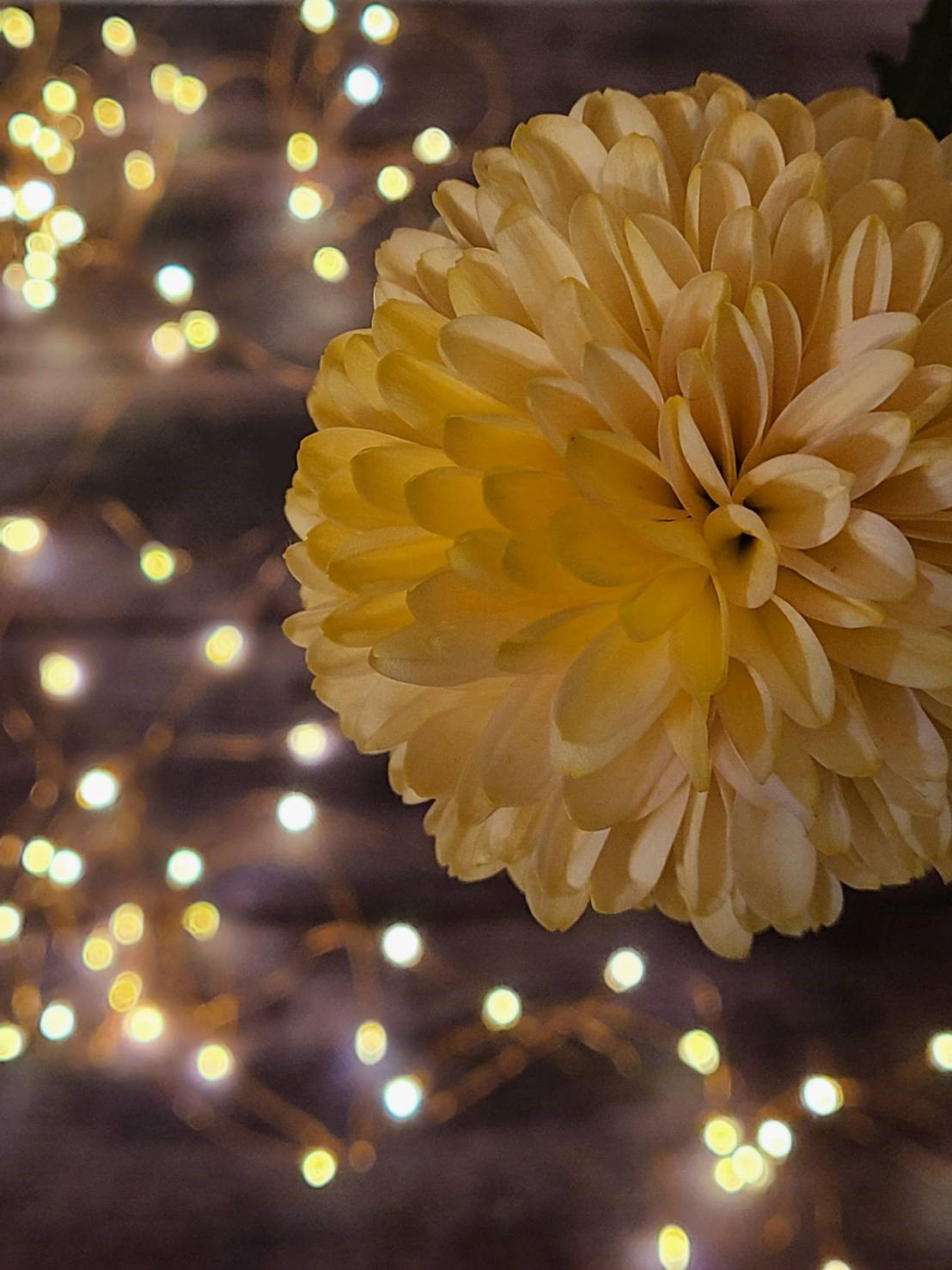 Samsung Galaxy | Content ProductionPhotography: Keiko