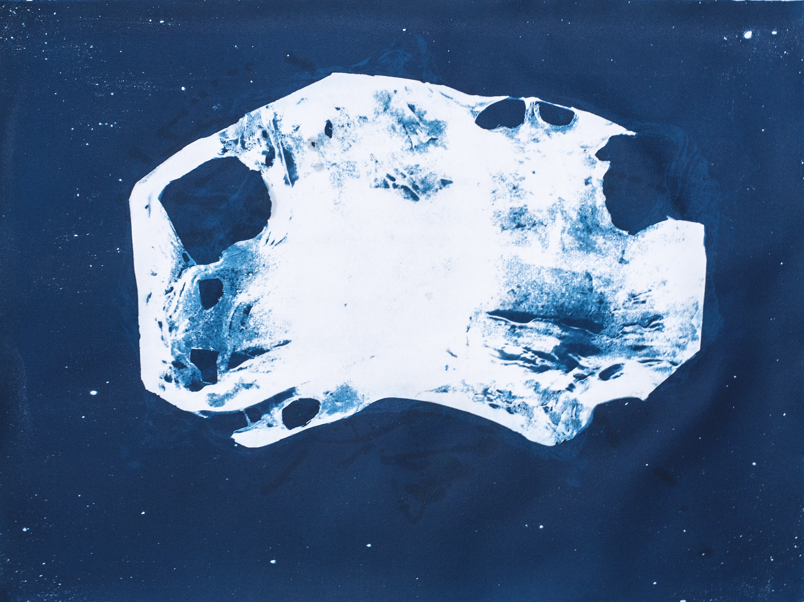 image aBove is a cyanotype using carBon dioxide ink*