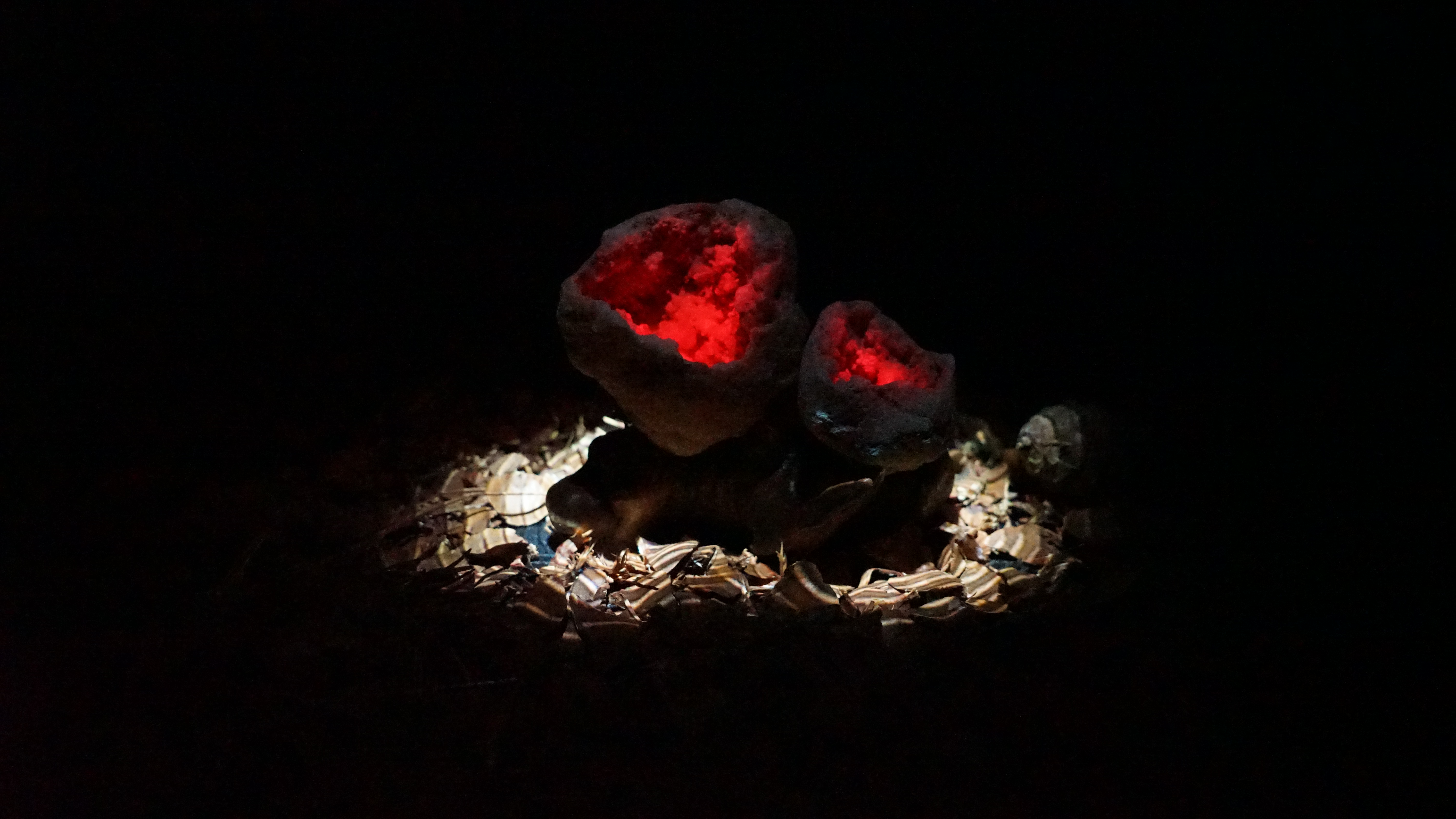 All the Losses We Could Never Name