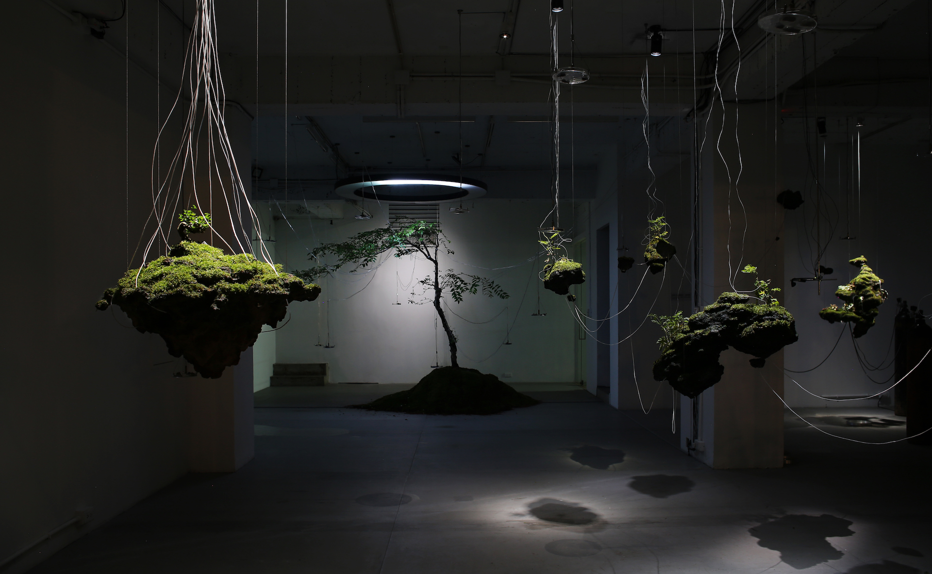 Solo Exhibition - 信释 -  Project Fulfill Art space, Taipei, 2020