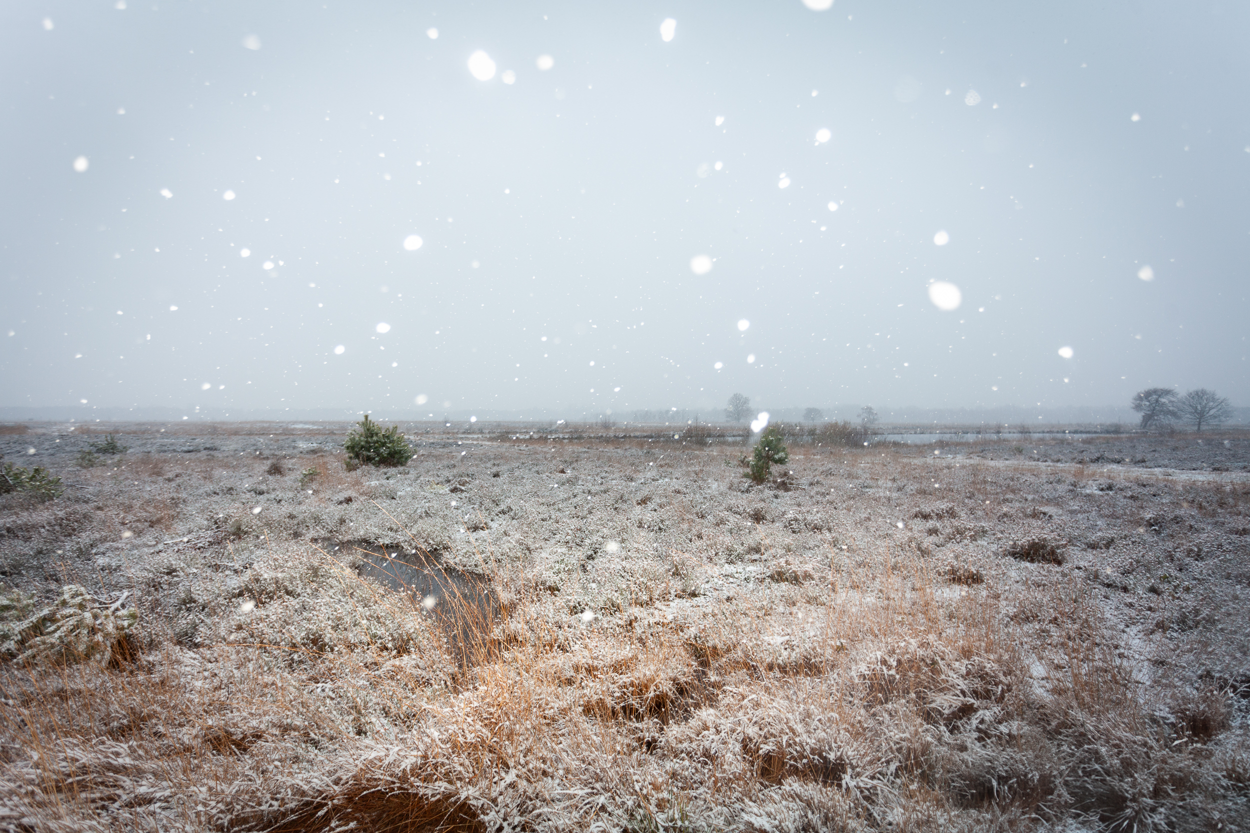 »Lichter Blick«, 2023