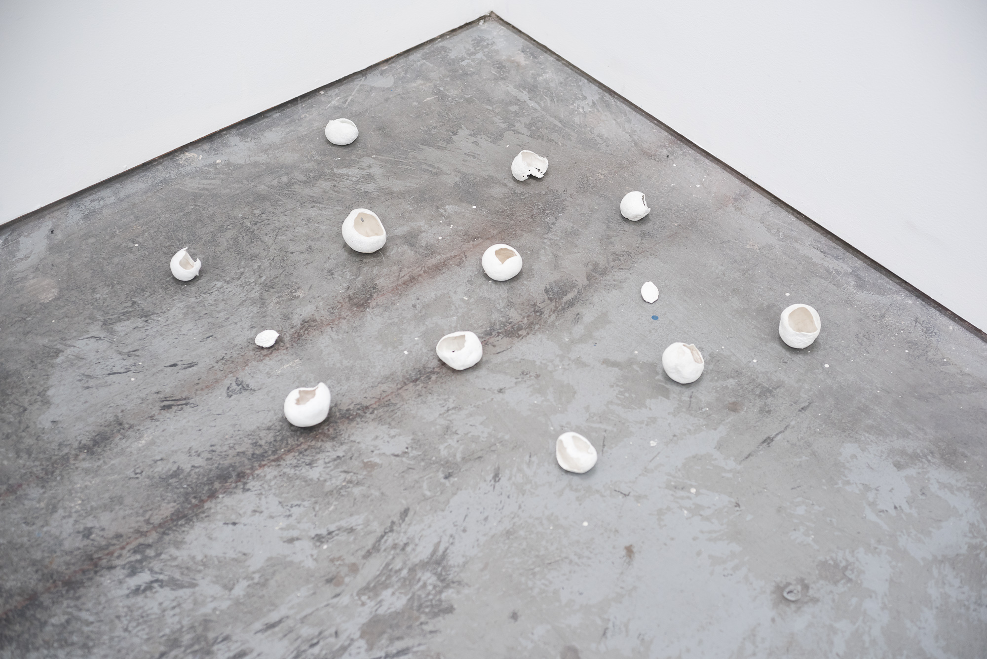 Remnants, 2013Gesso, orange peels, and fruit pits