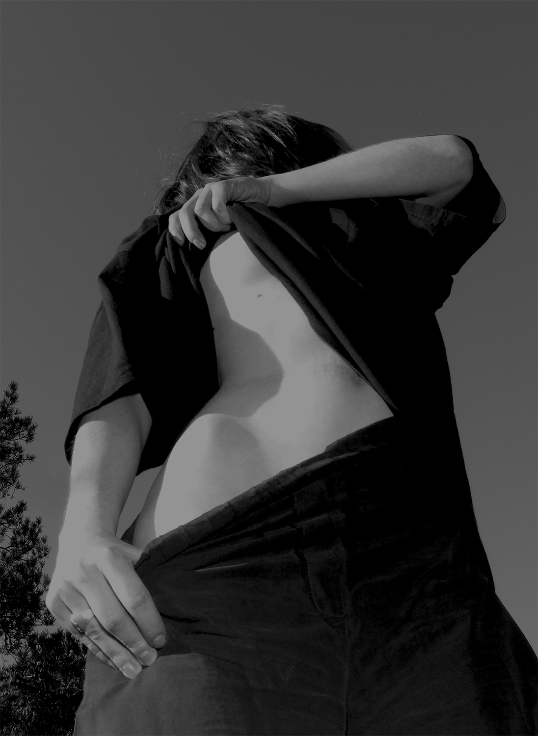 "Swan Lake", ink-jet, 2019