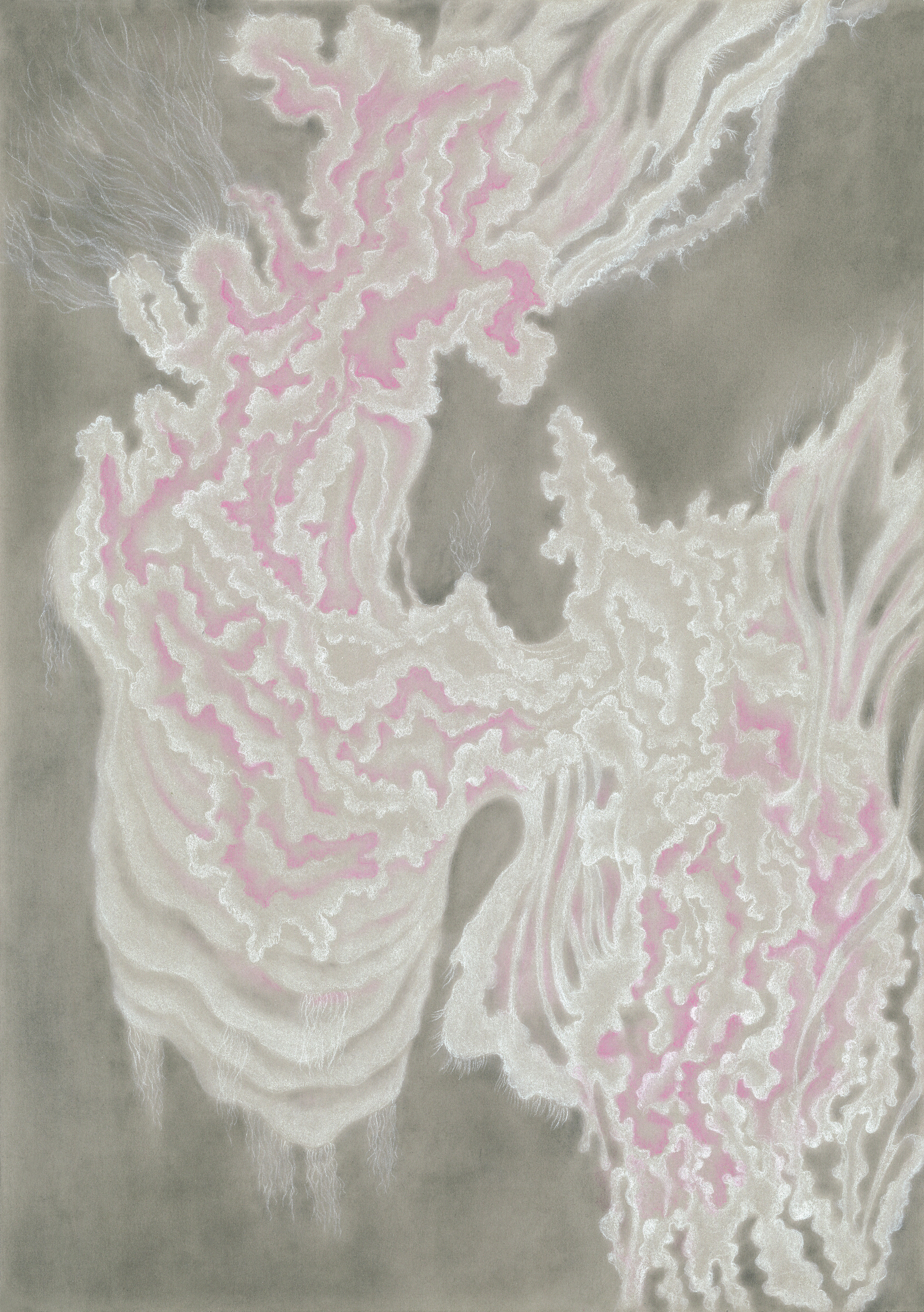 Sonia Bandura, Endosimbiosis, 2023, pastel and carbon on paper, plexiglass frame, 16 1/2 x 11 3/4 in / 42 x 29.7 cm  © Sonia Bandura. Photo: Sonia Bandura.