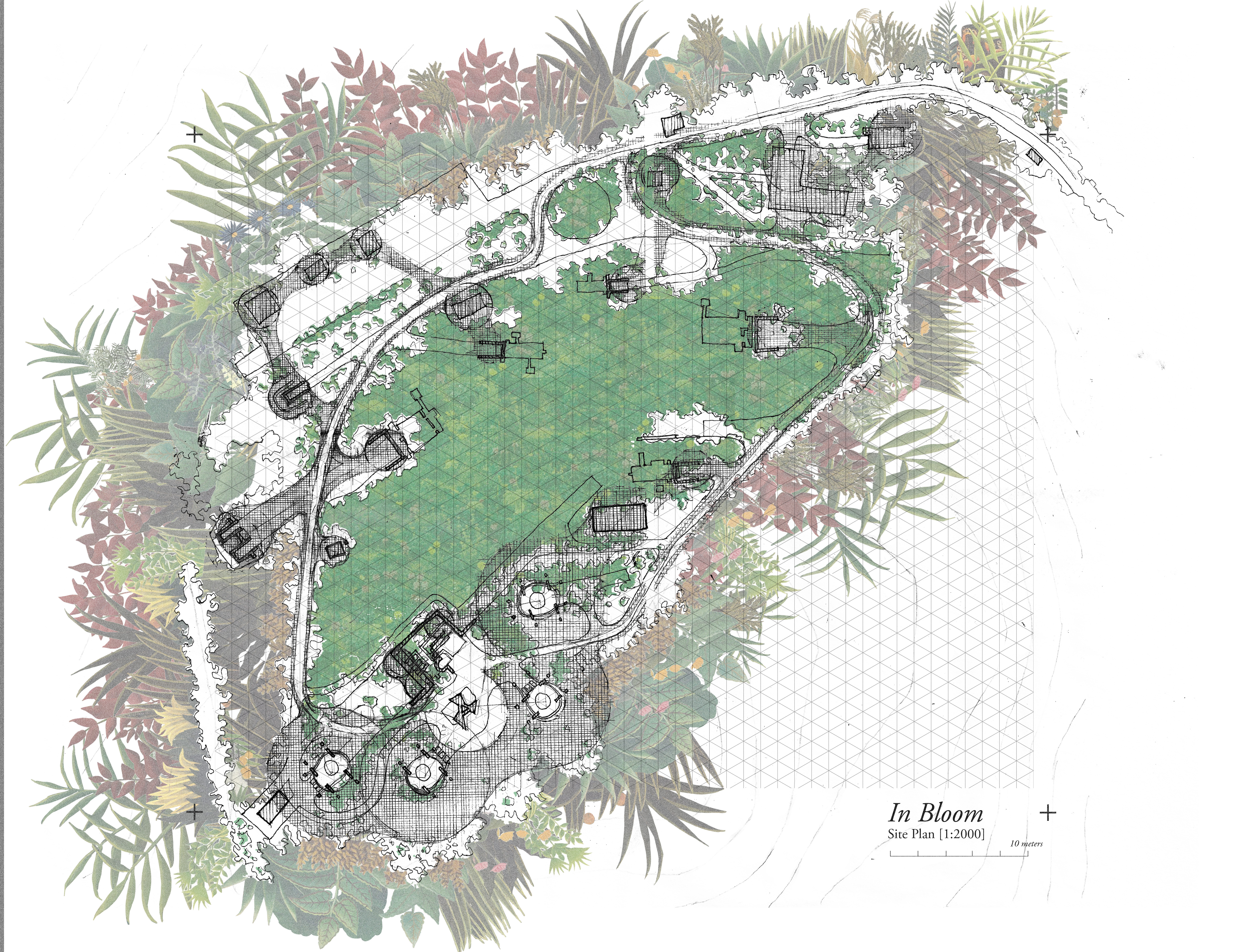 2021, Site Plan in the Year 2075, Hand Drawing & Digital Collage.