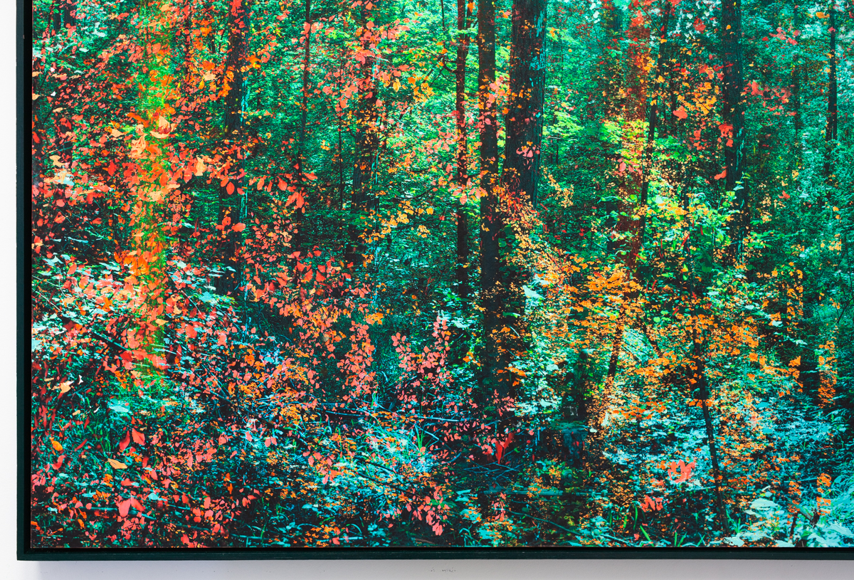 "Premier printemps d'automne", 130x80cm, 2022