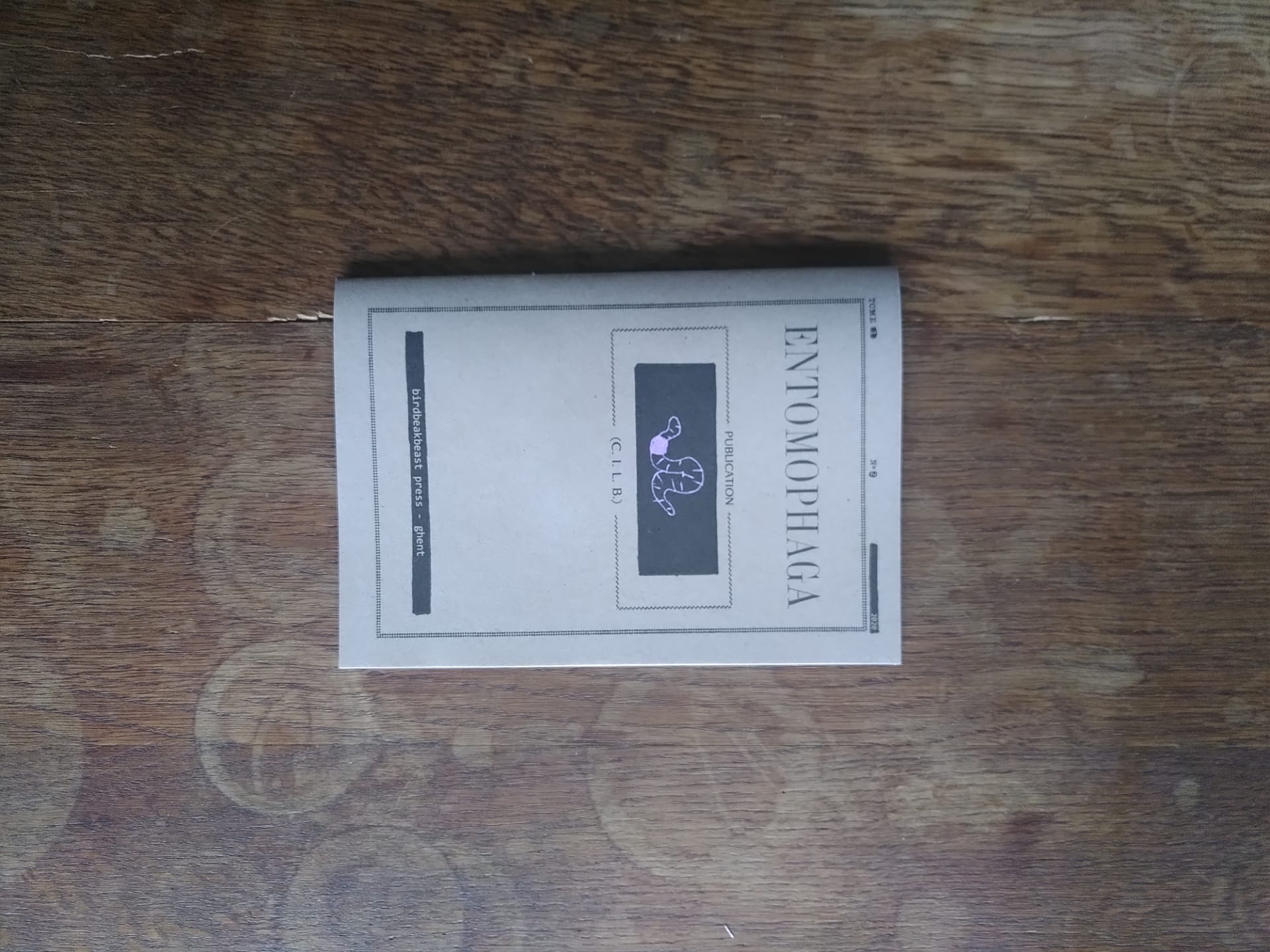 cover of Entomophaga 2 on a wooden table. it’s a zine of cardboard texture paper, with and old-fashioned journal cover in black ink. in the middle is a black square, with a hand-drawn pink worm on it.