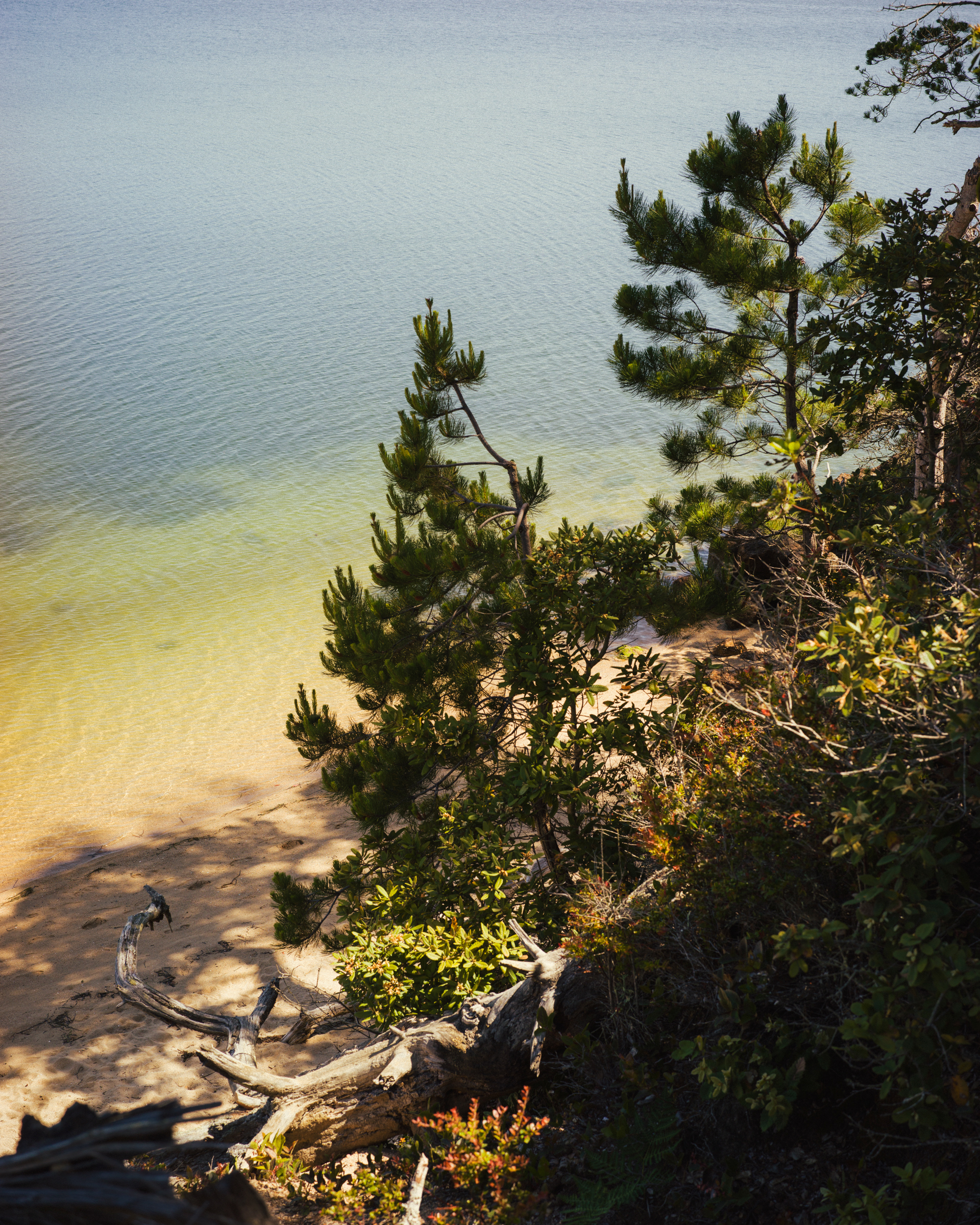 Tomales Bay for Monocle