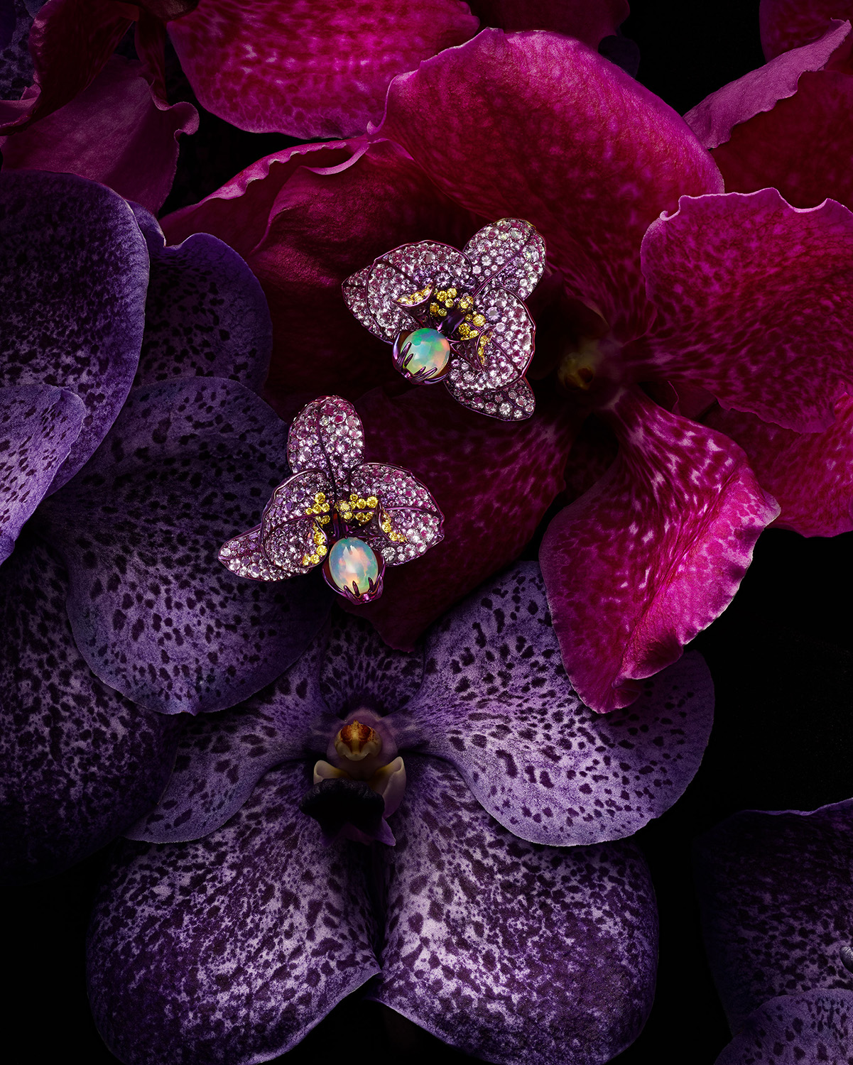 KMA photographer Isabelle Bonjean shoots a photograph of Chopard purple flower earrings laying on purple flowers