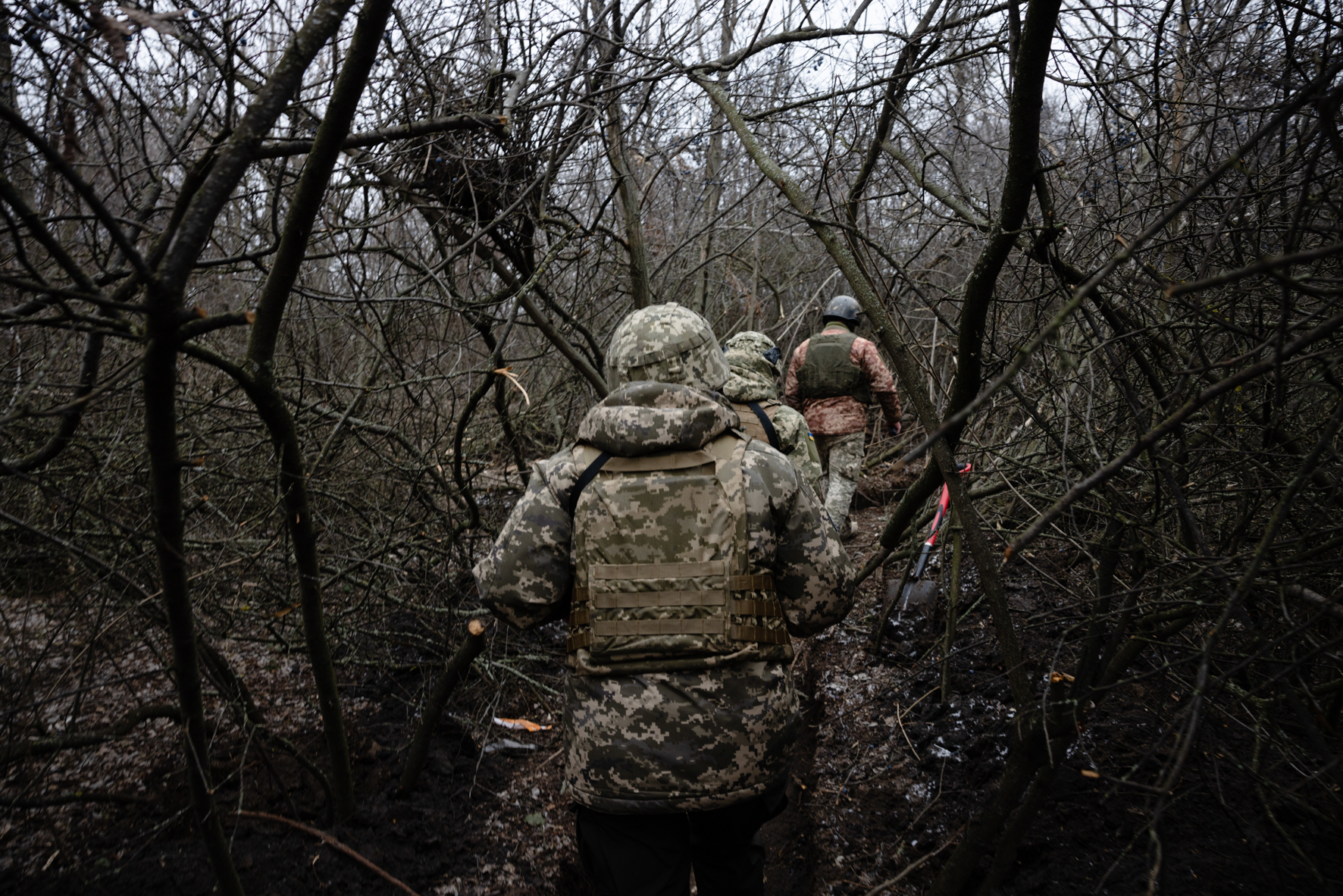 Pathway through the bushes leading soldiers to their firing positions in Kupiansk.