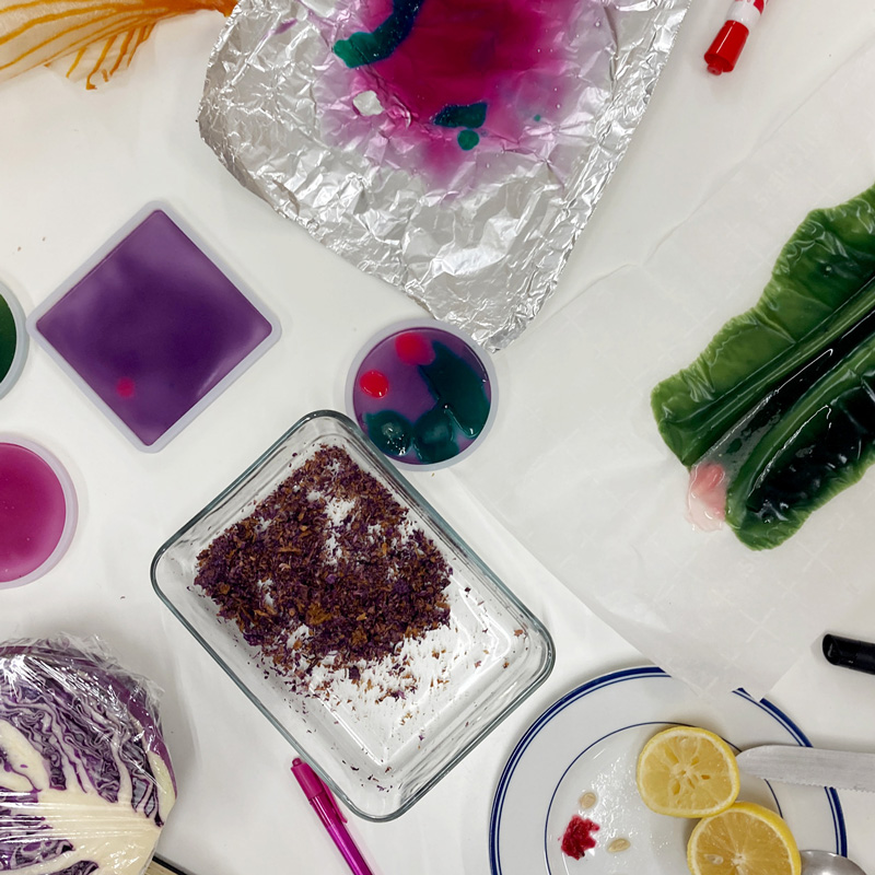 The Cabbage Experiment