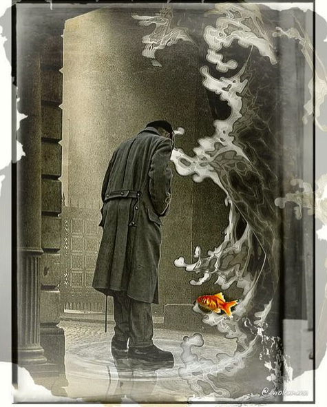 Violetta Amann Samonek