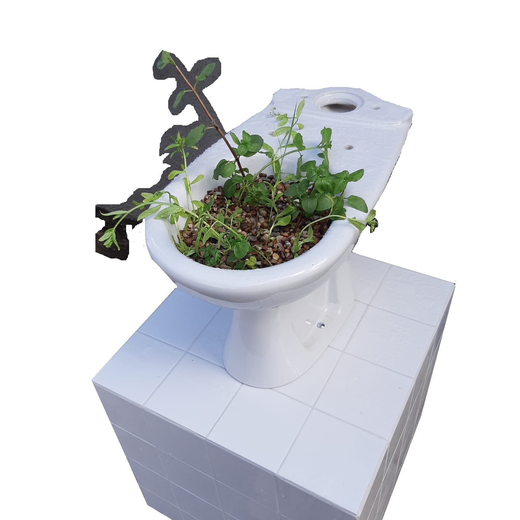 Constructed wetlands & Deconstructed borders - 2021/2022