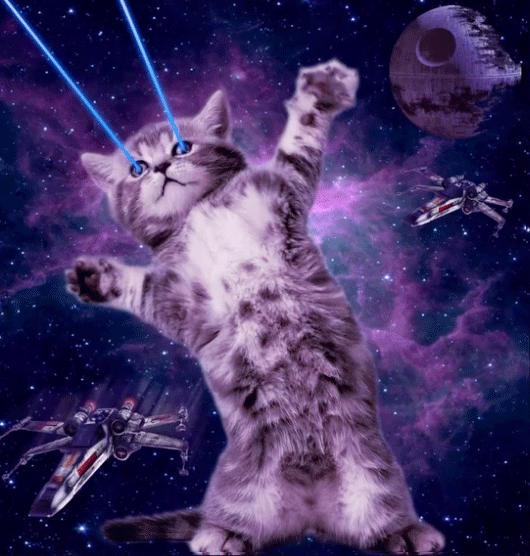Space Kitten