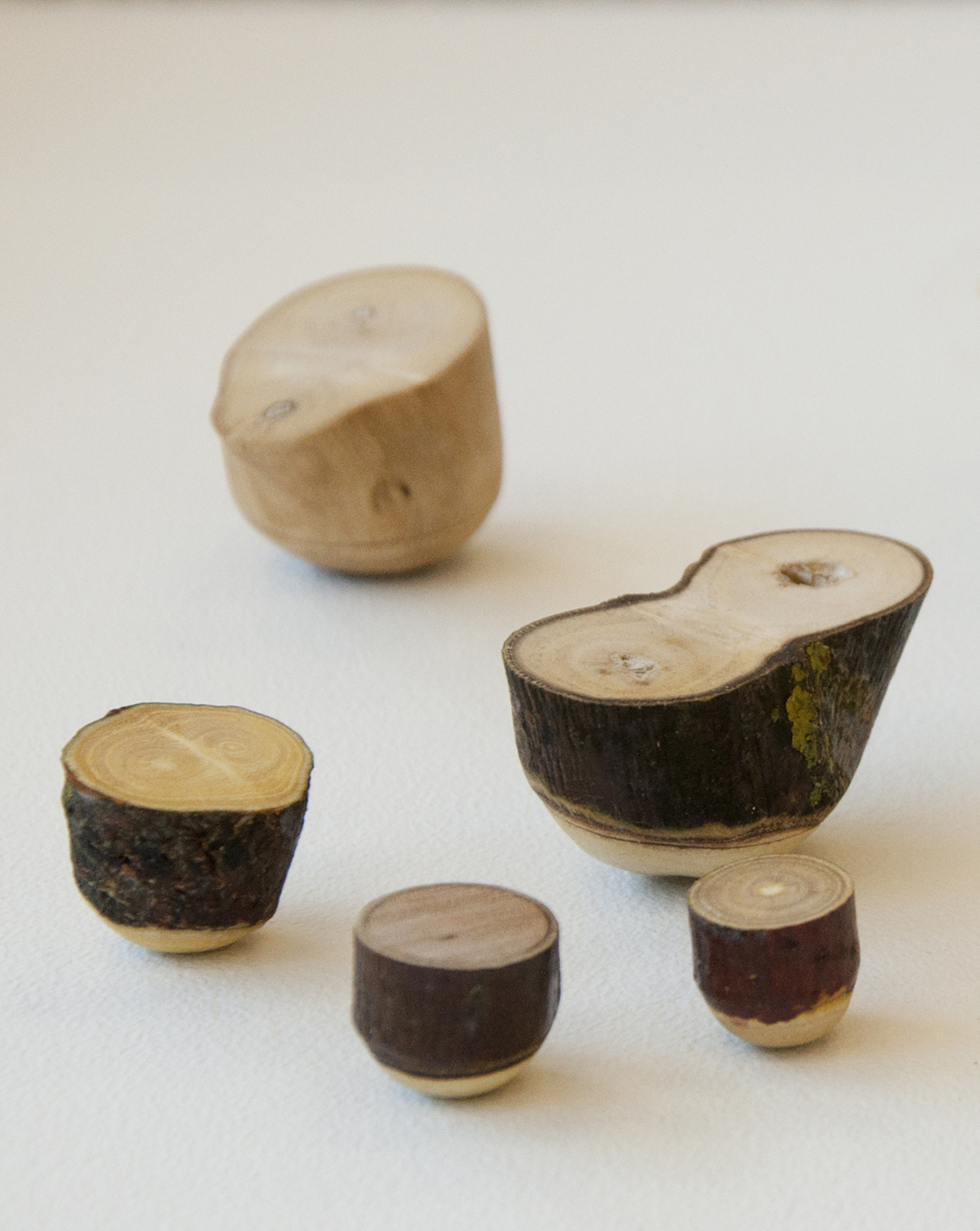 Wackeläste | 2015 | tumblers | branch, led