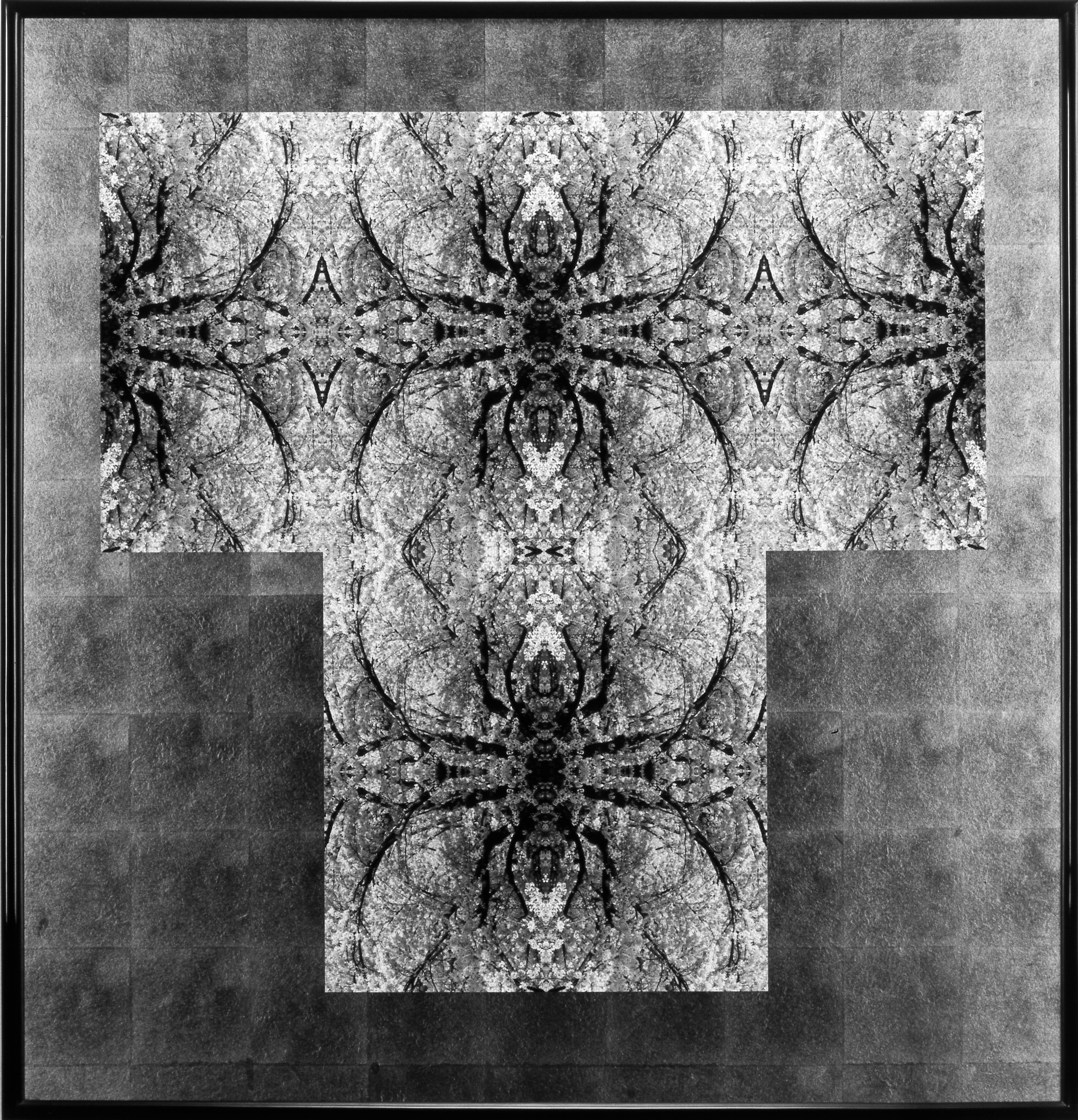"桜T字型12面シンメトリー" 1991, gelatine silver print 1195x1145mm