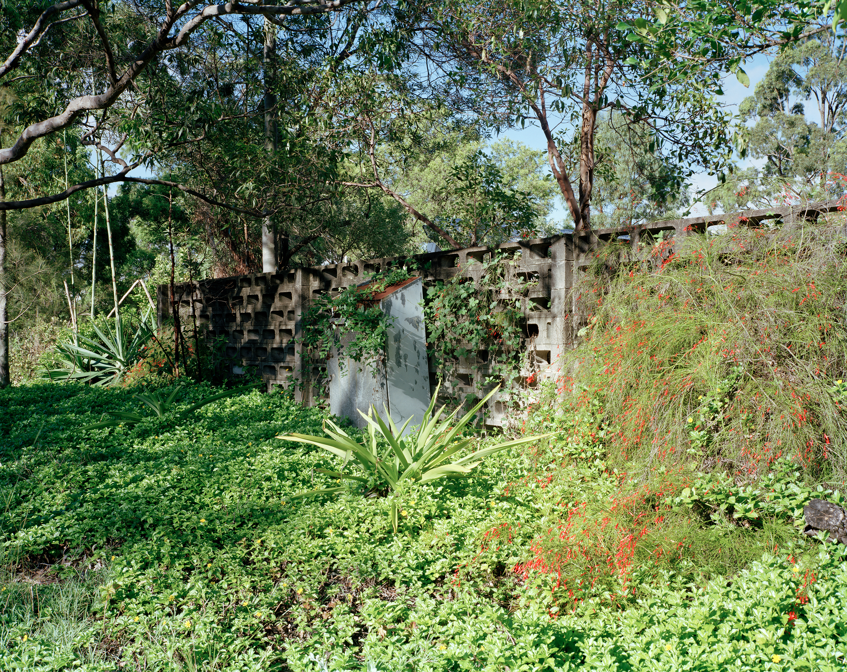 Alma mater 10, archival inkjet print, 100cm X 125cm, edition of 6