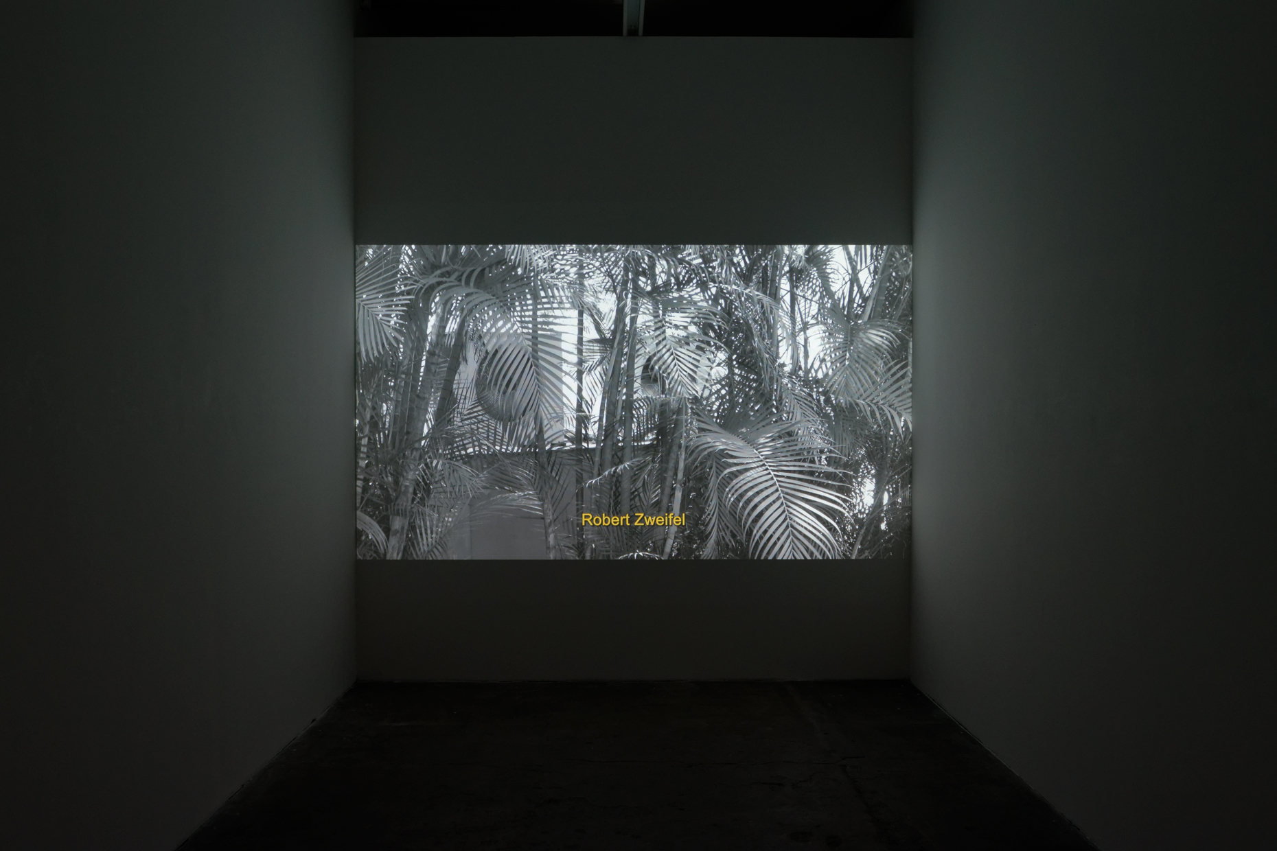 Benedikt Bock, ROBERT ZWEIFEL — Es wäre schön, wenn du bleibst, 2024. Vidéo HD, couleur, son. 13 min. Courtesy de l'artiste.