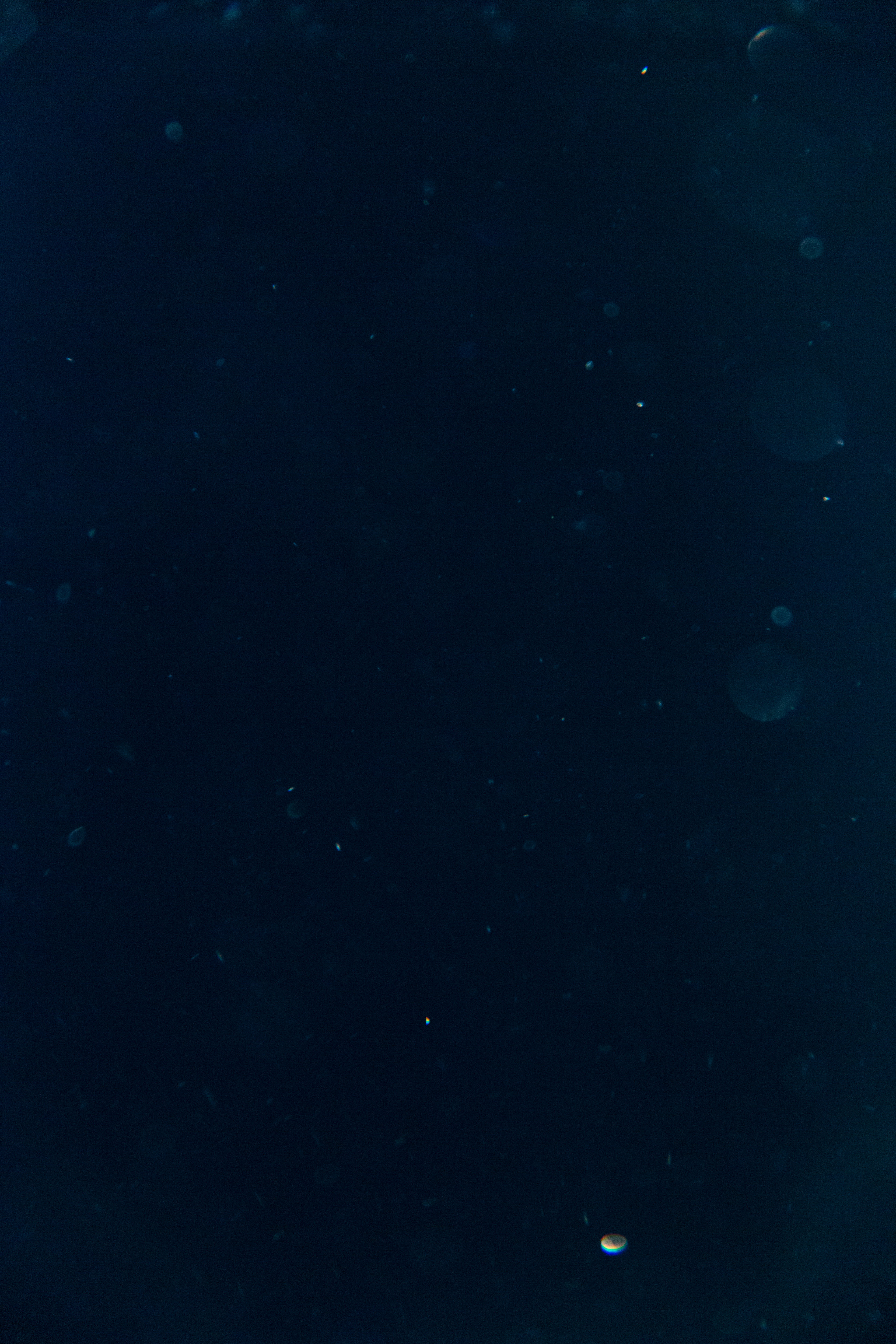 still from video, 3.46min (loop)