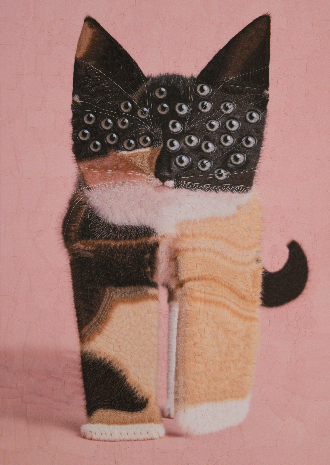 Squits, 2024, 11.6 x 16.5 inches