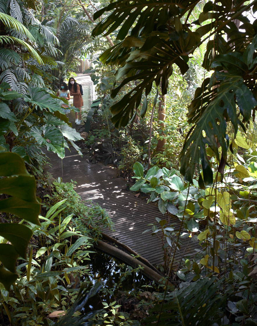 NATIONAL MUSEUM OF NATURAL HISTORY, PARIS 