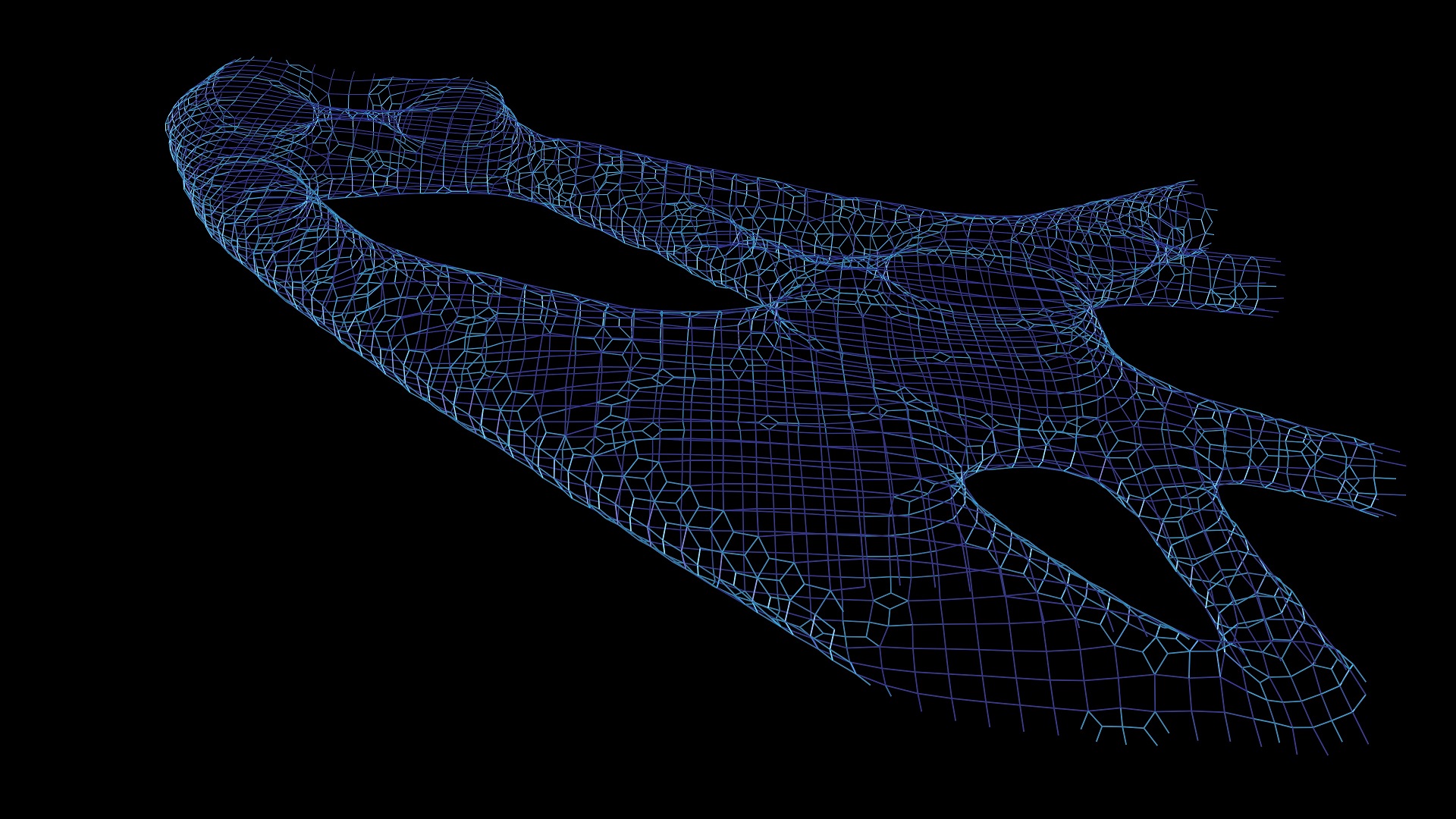 wireframe; density/ face area