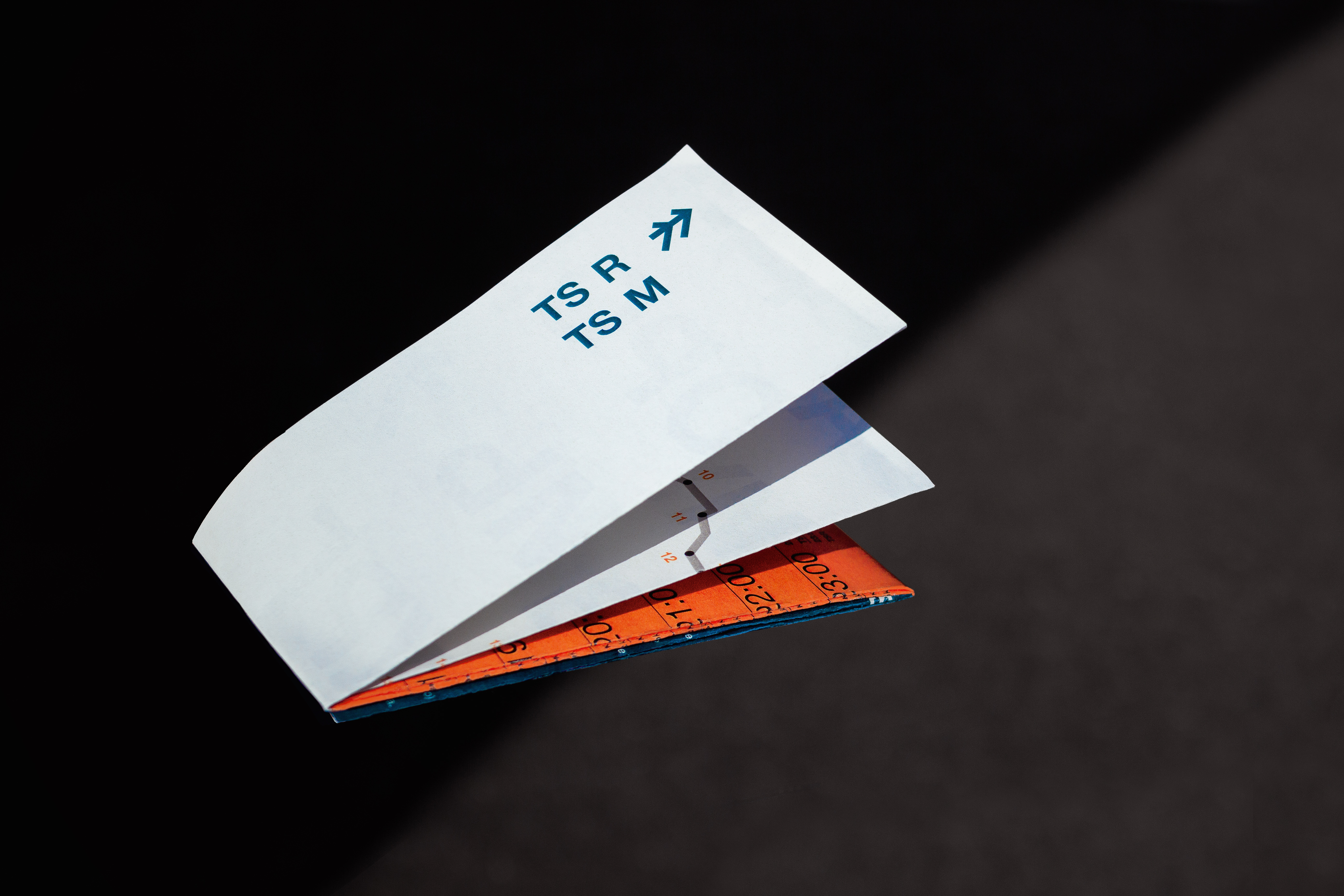 Fictional Corporate Design for the Transsibirian Railways, completed in my fourth semester together with Leon Beu and Marlén Deusch. Foldable Map and Poster